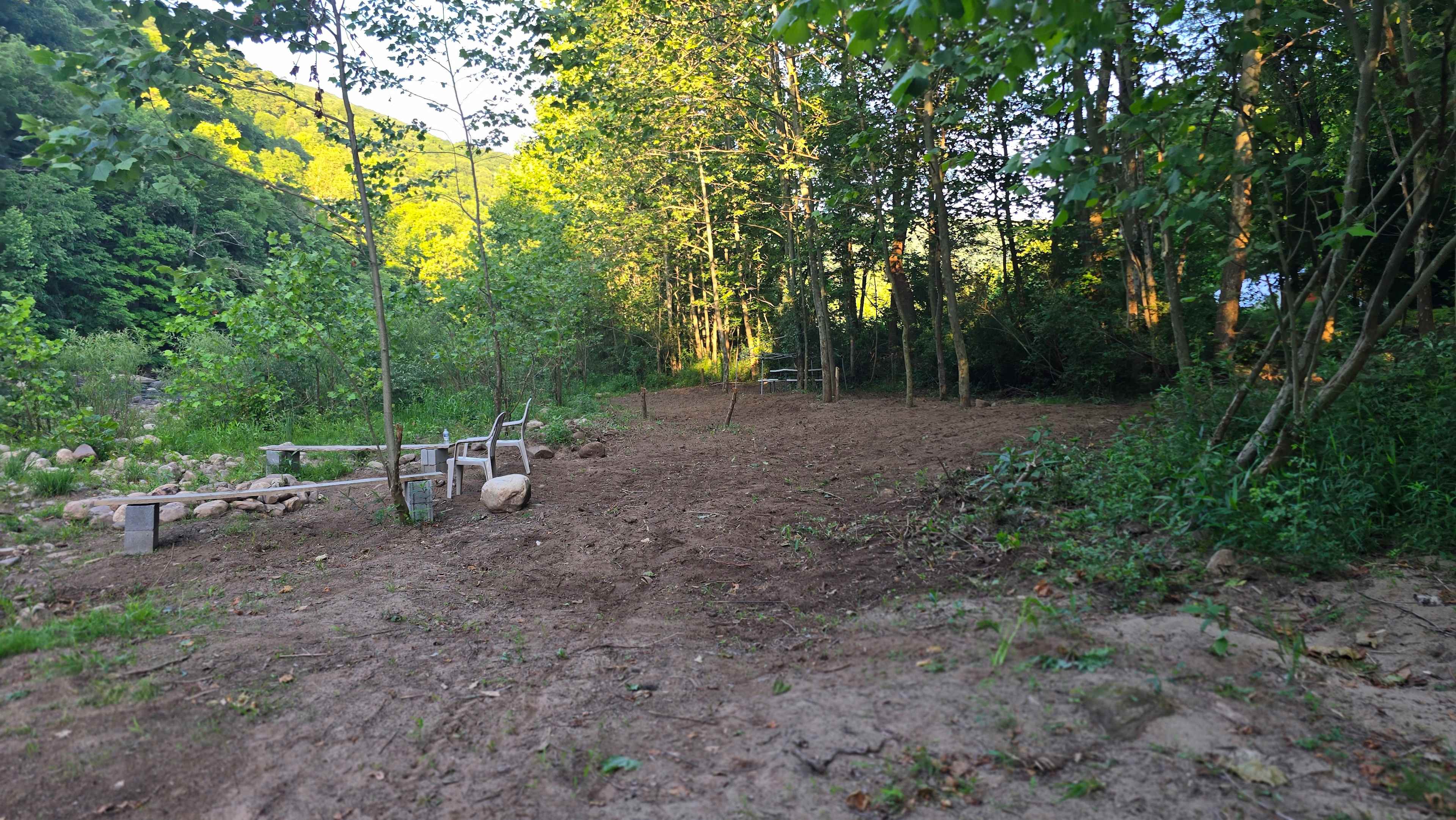 Picture of the site