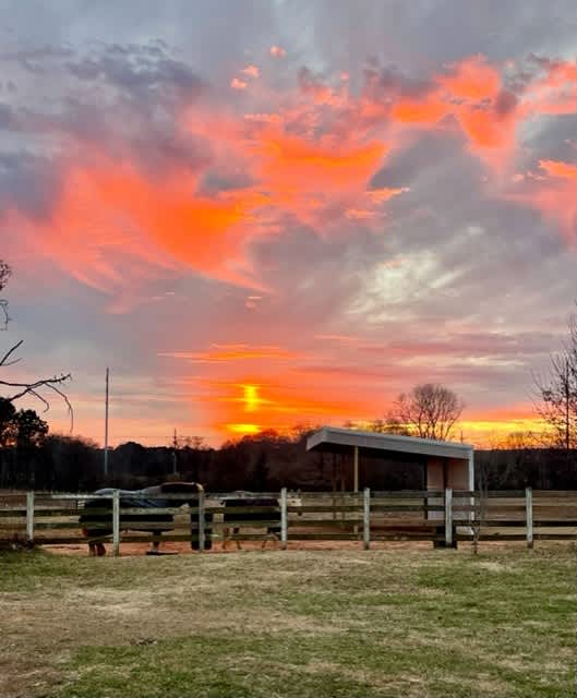 Liberty Stables Private Escape