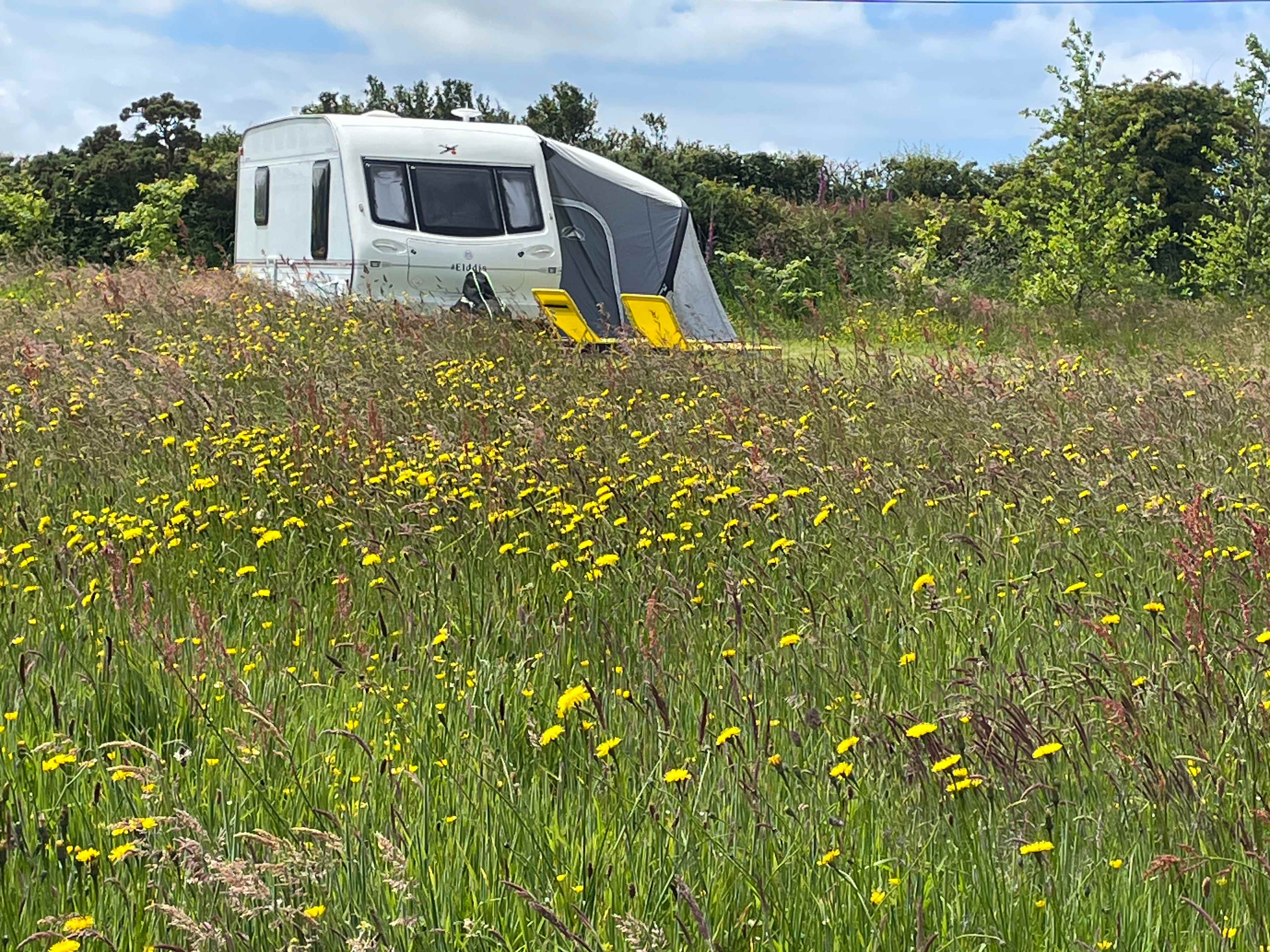 Trefechan Wen Coastal Camping