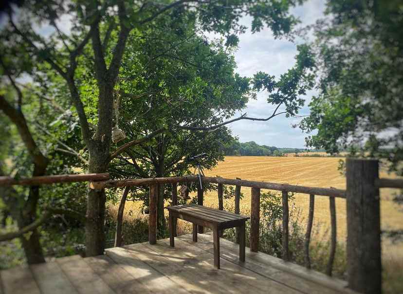 Fleets Paddock Glamping & Camping