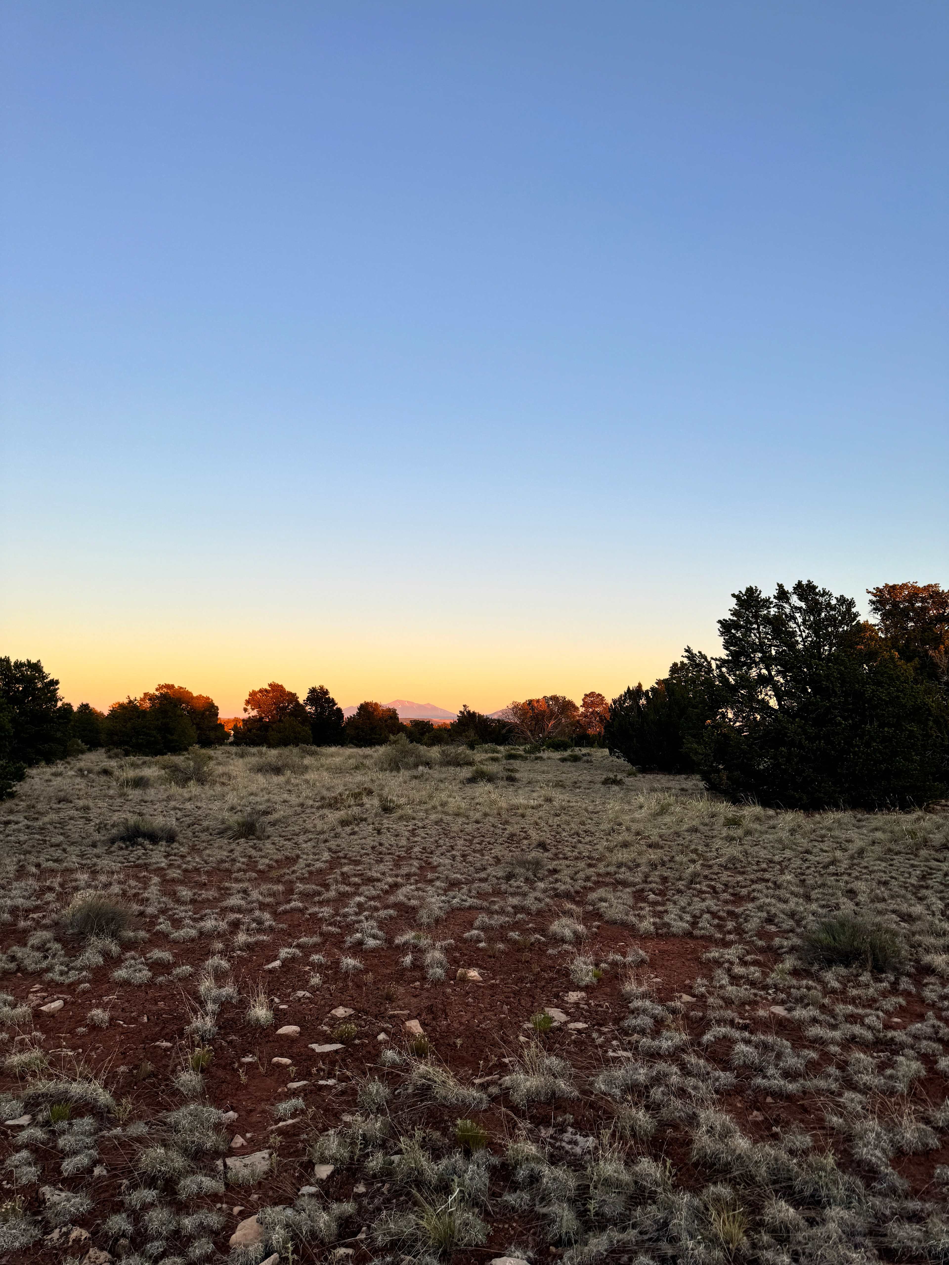 Dom’s Land