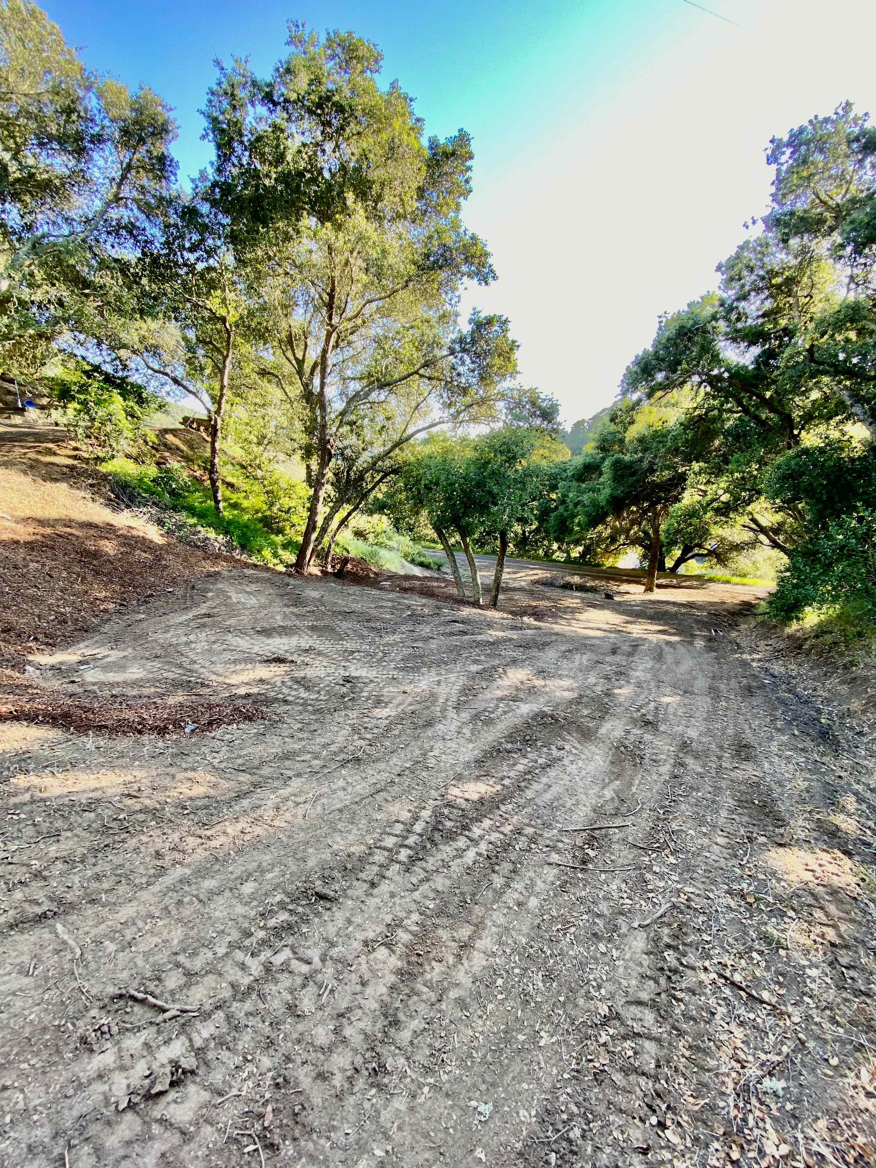View of sites from site #1. 2 wheel drive is sufficient for camp site 1-4.