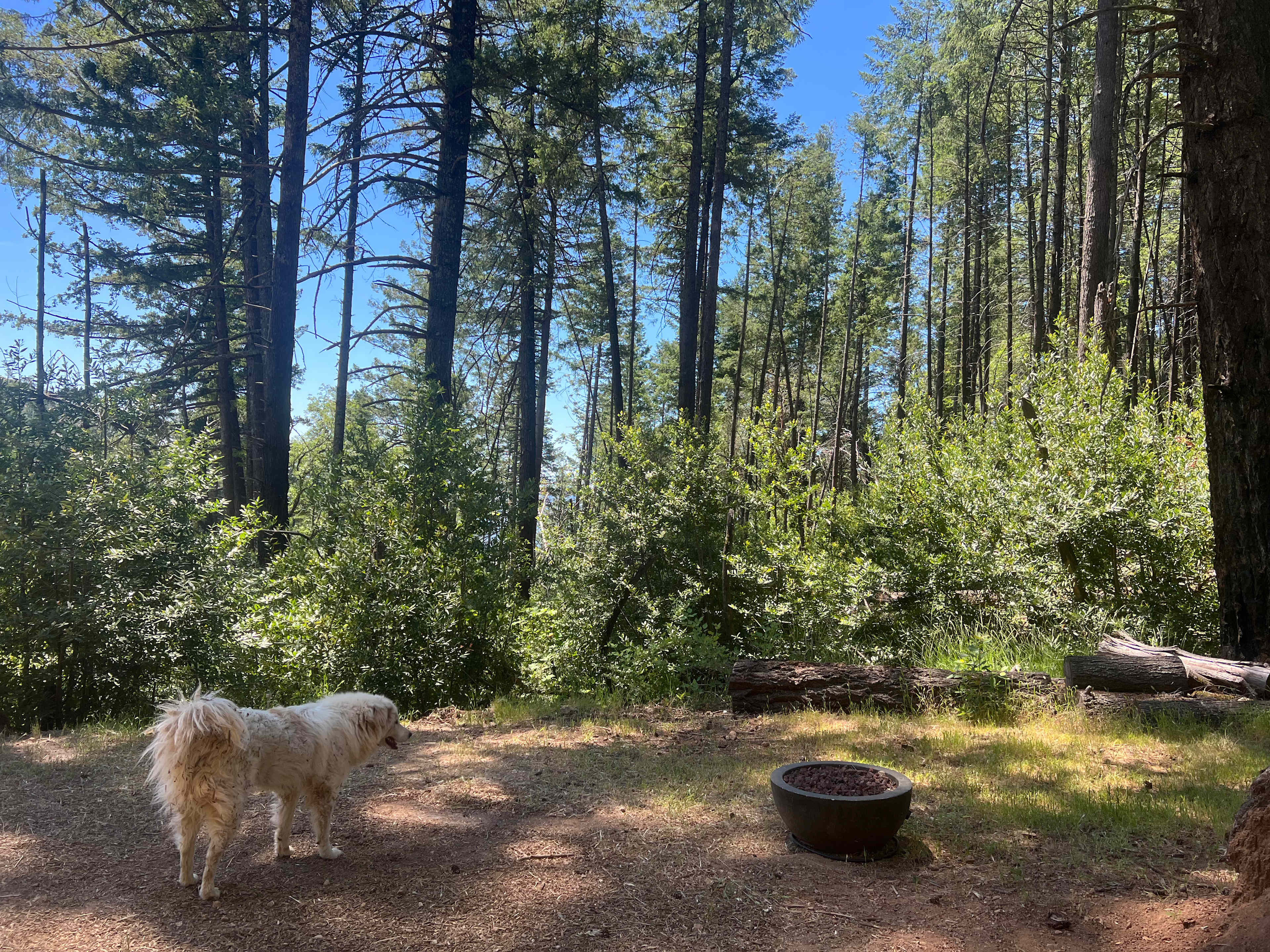 Moon Ridge Ranch