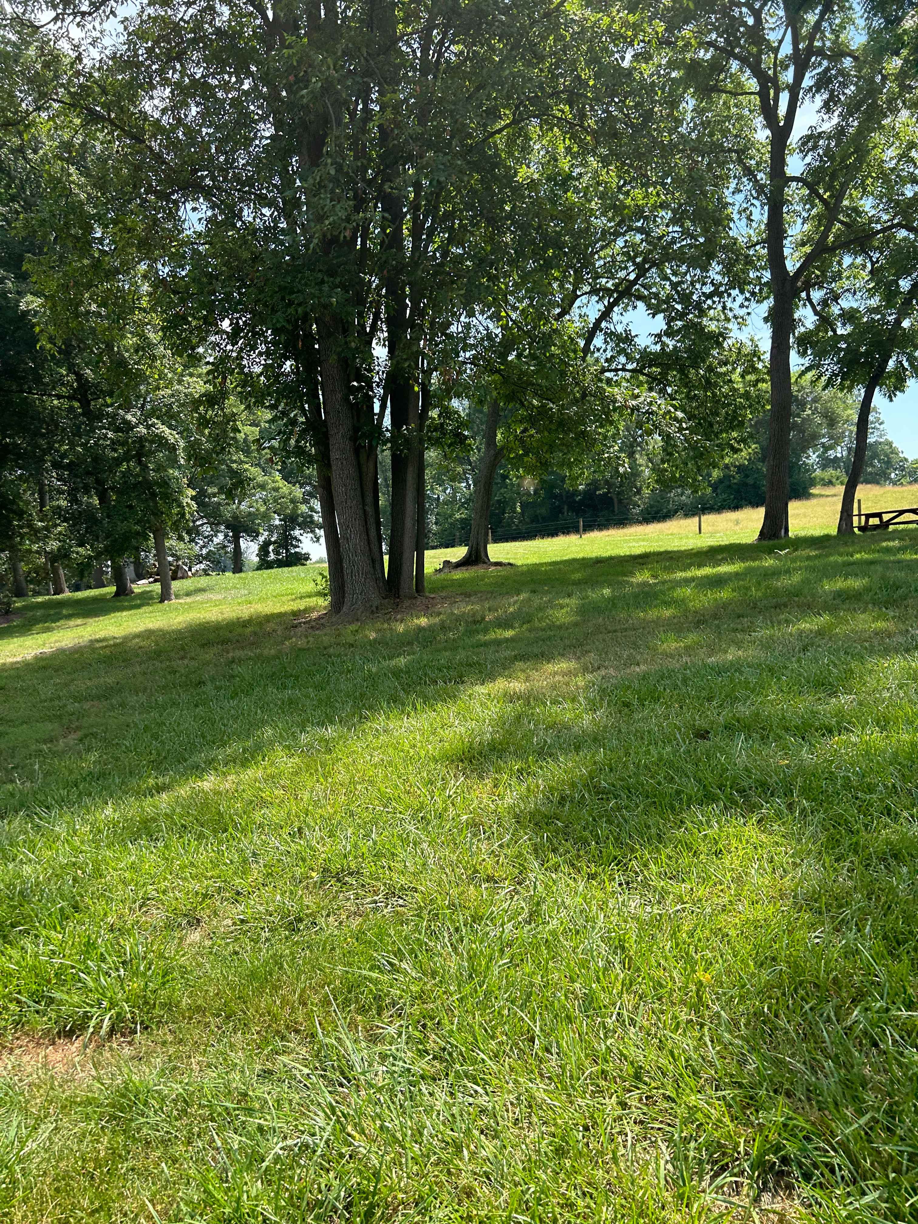 Skiles Rolling Acres Estate
