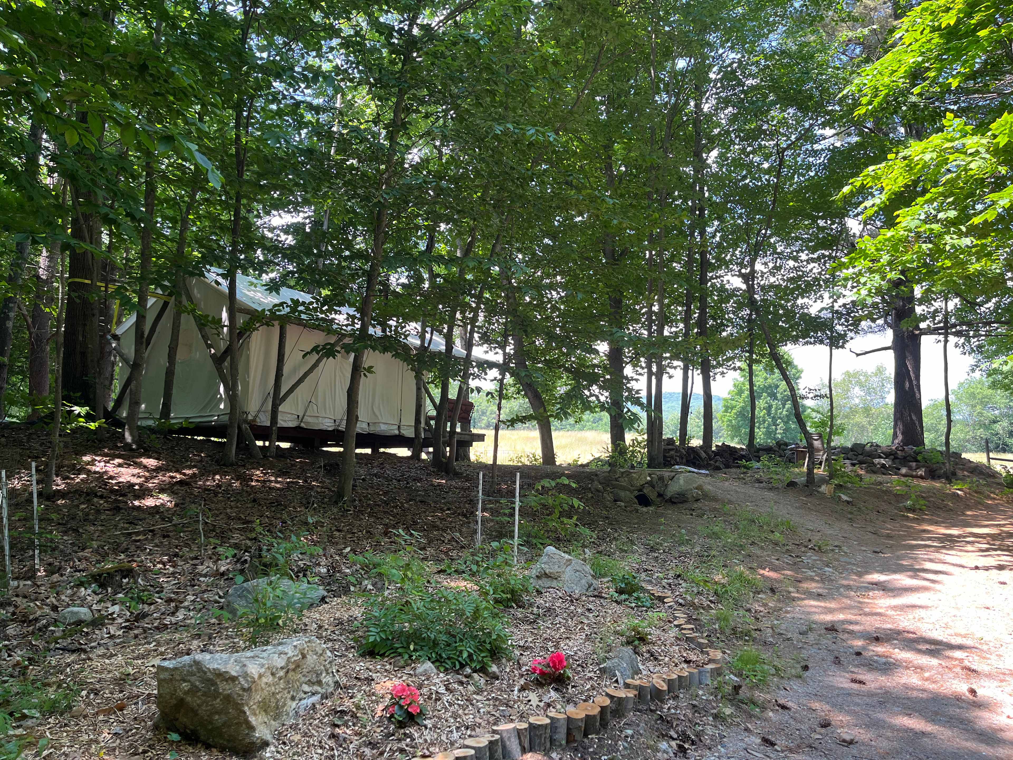 BrandiLee Woods at the Woolley farm