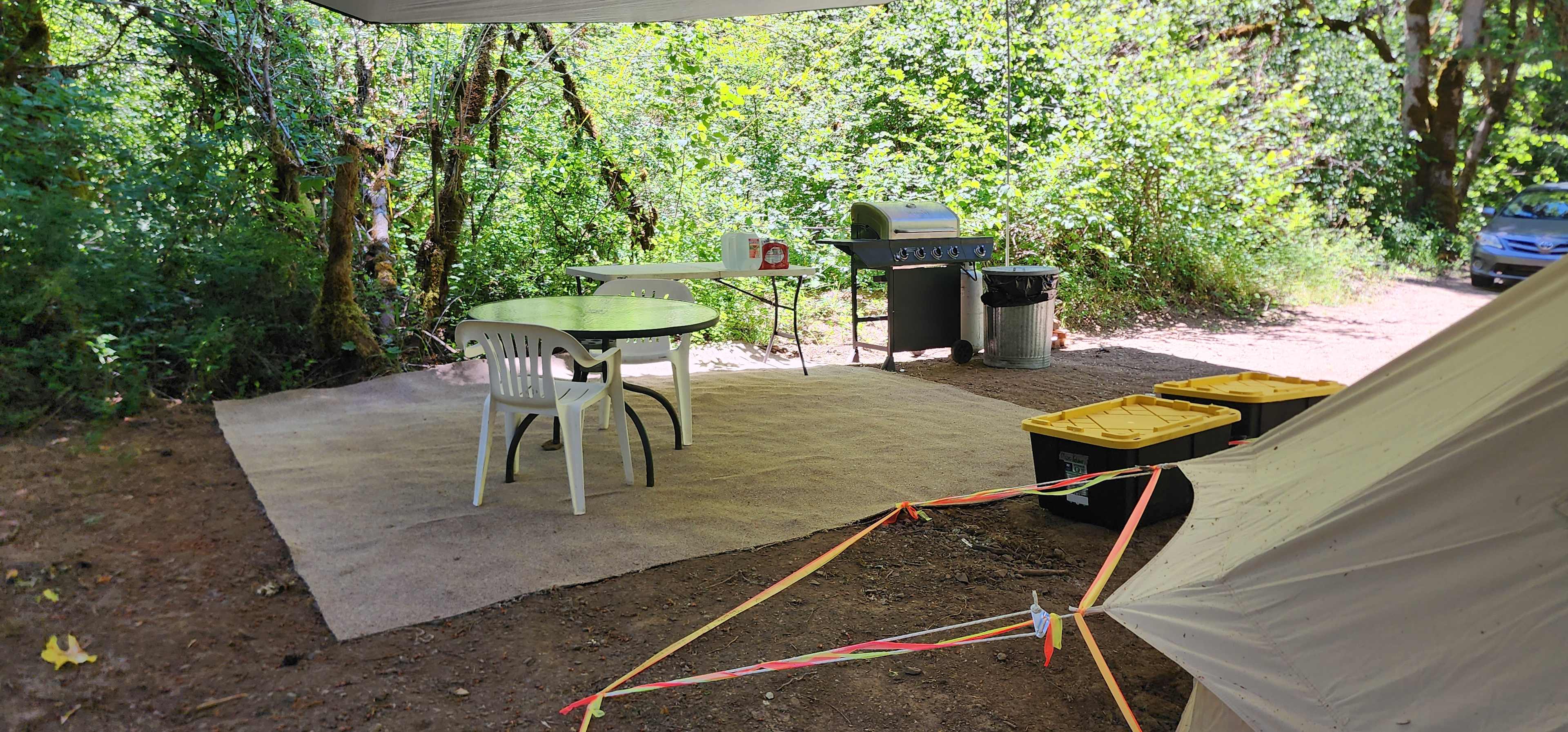 Picture of the site