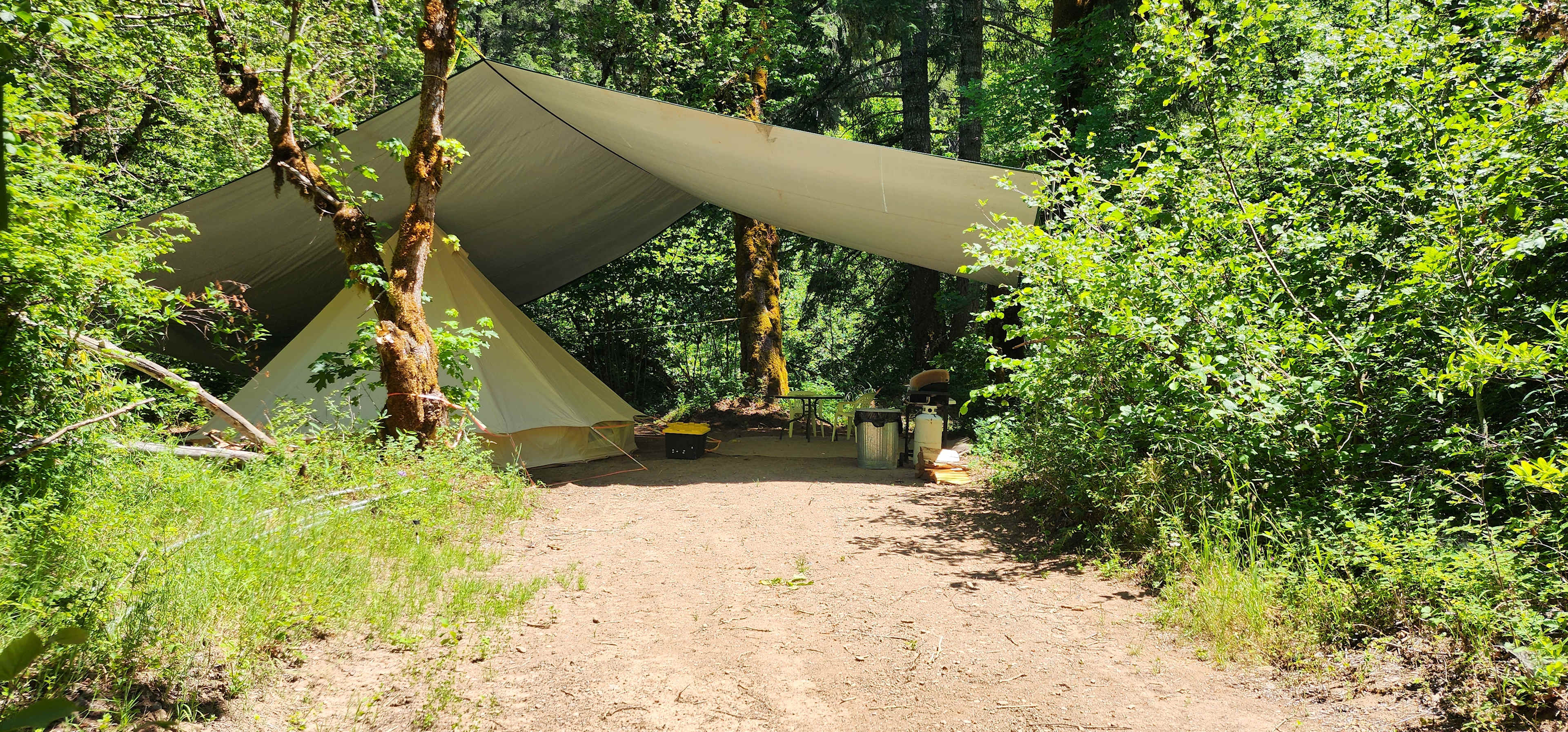 Picture of the site