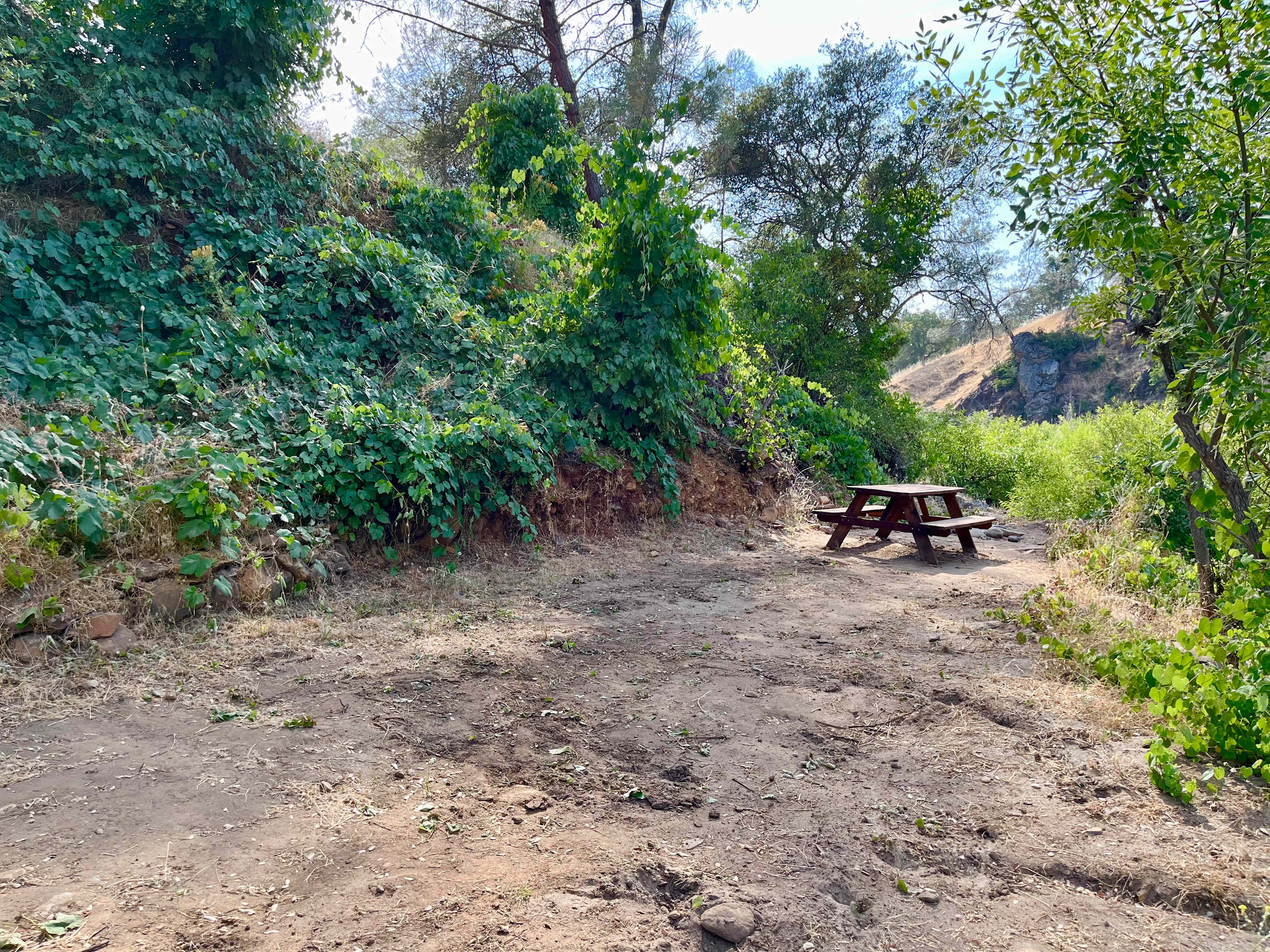 Cosumnes River Ranch