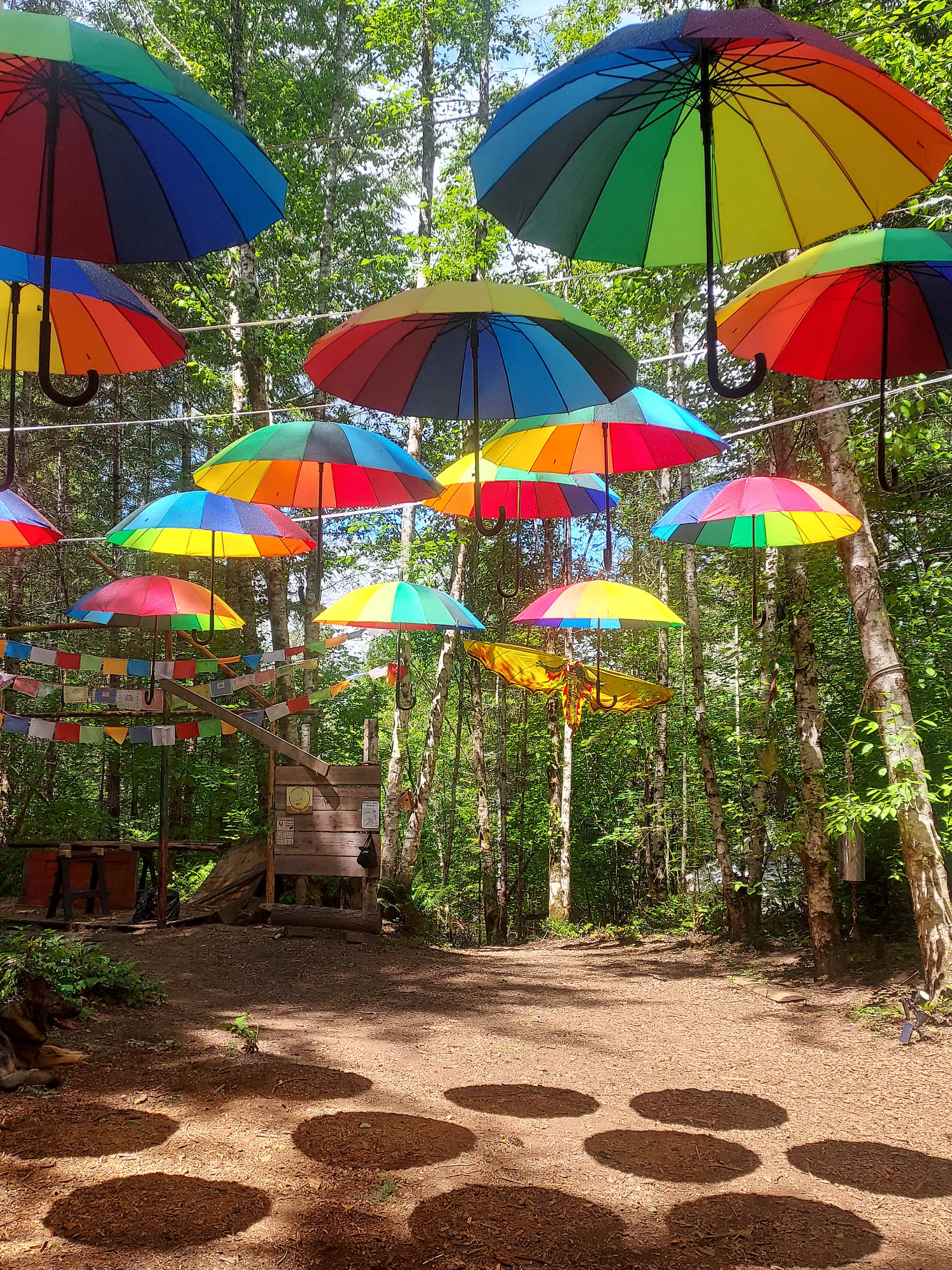 Elfendahl Forest