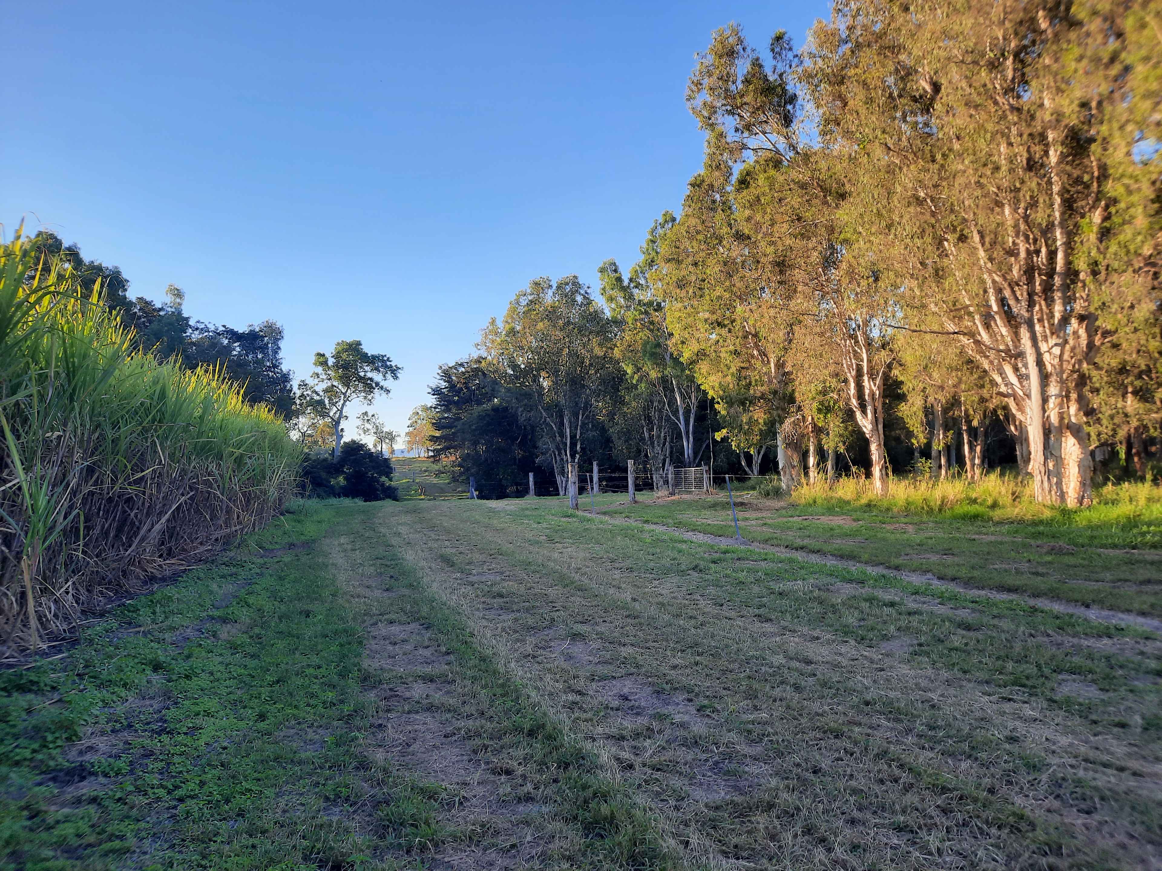 Track into entrance