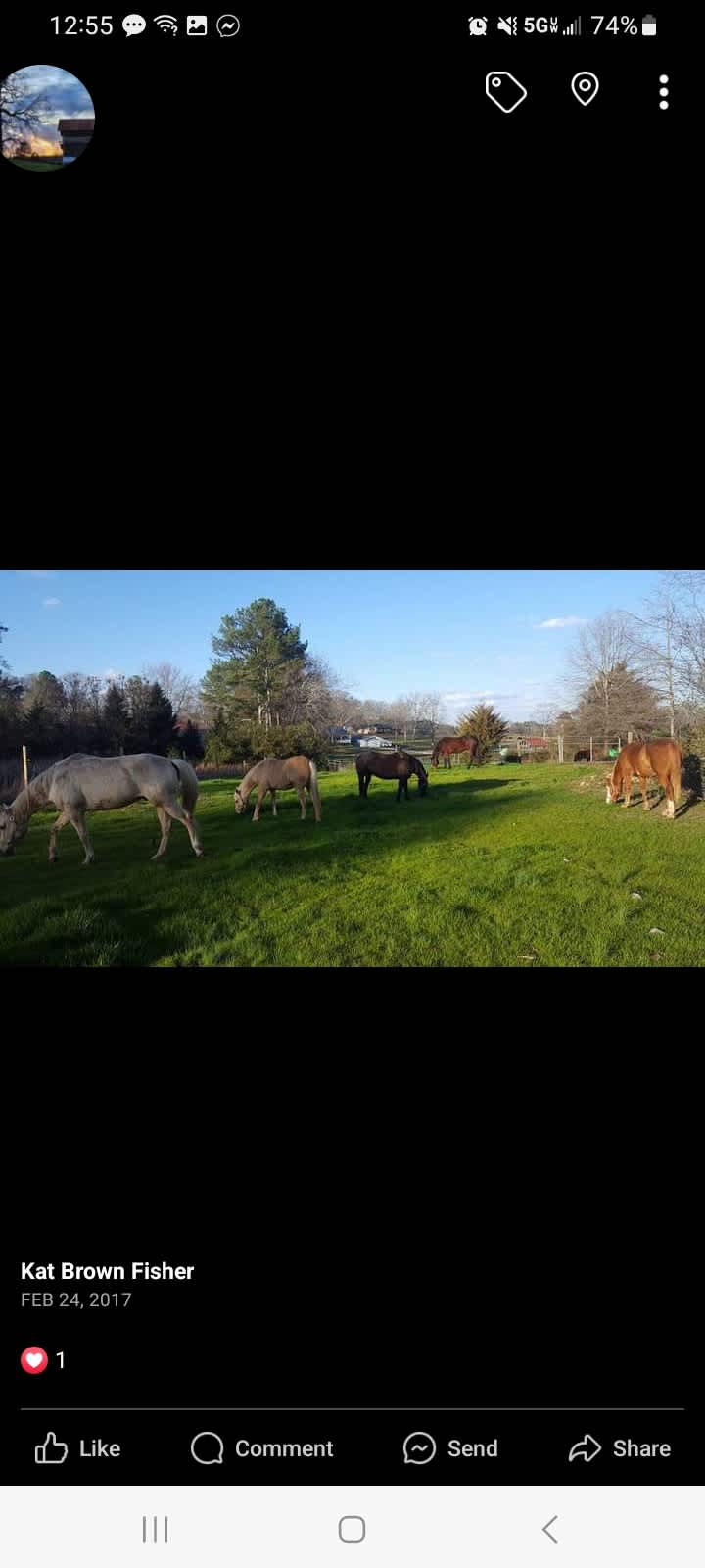 Shadowood Acres