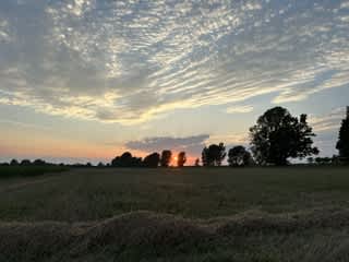 Lost acres