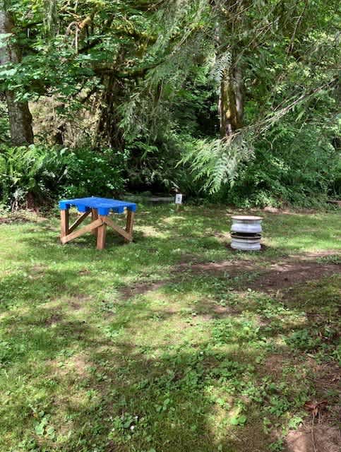 Lyre River Retreat