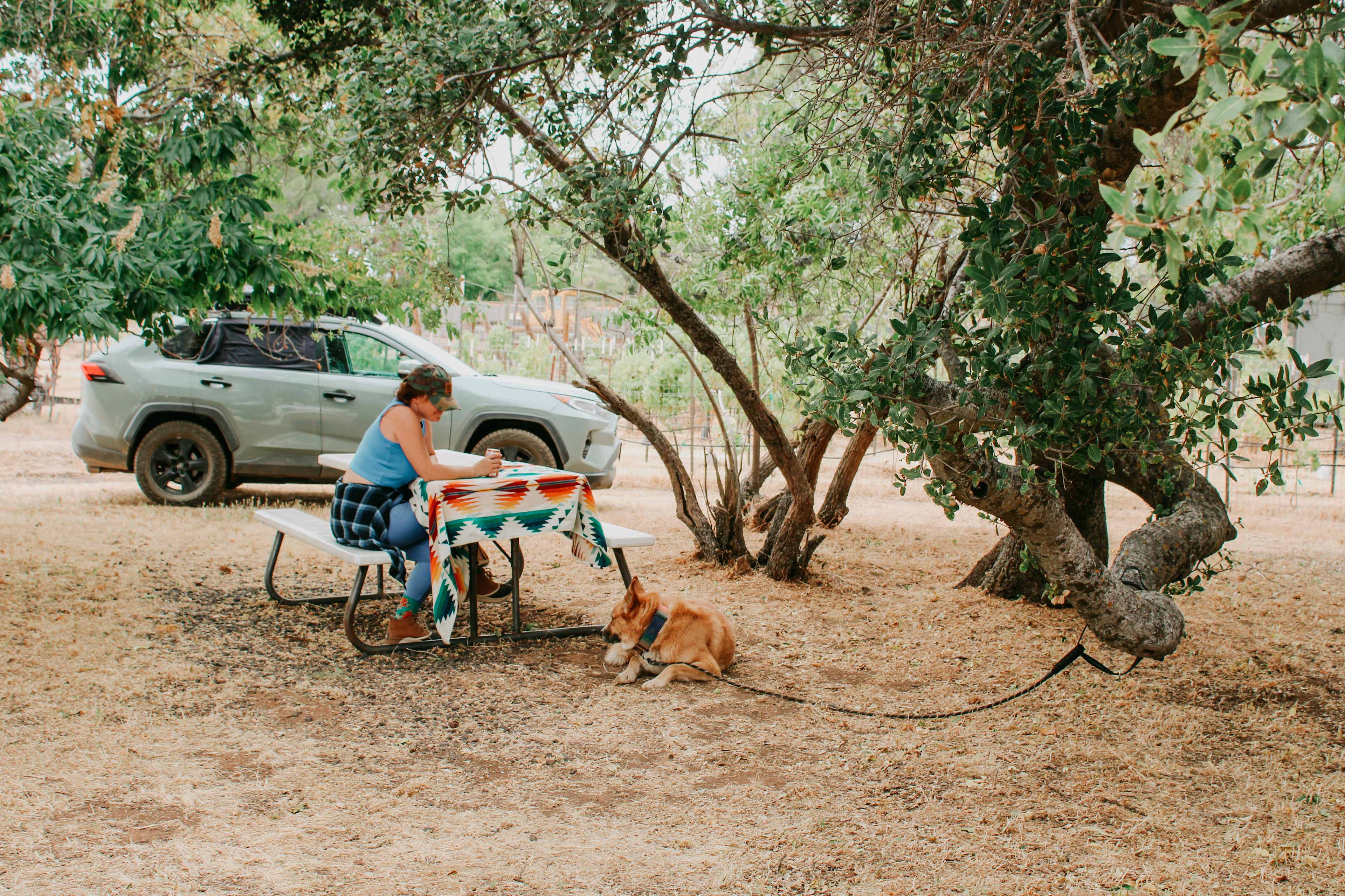 Campsite 1
