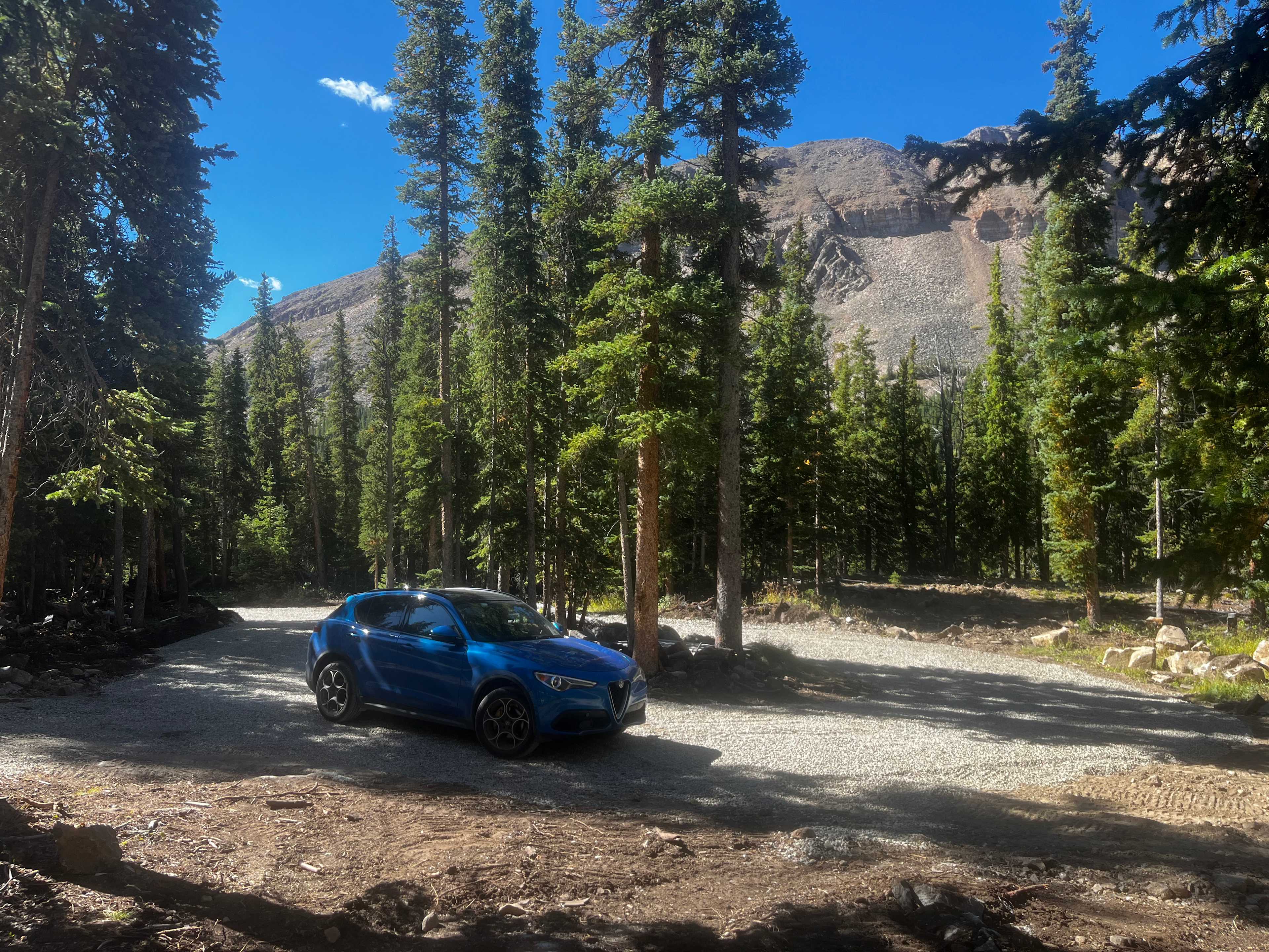 Wandering Moose Meadows