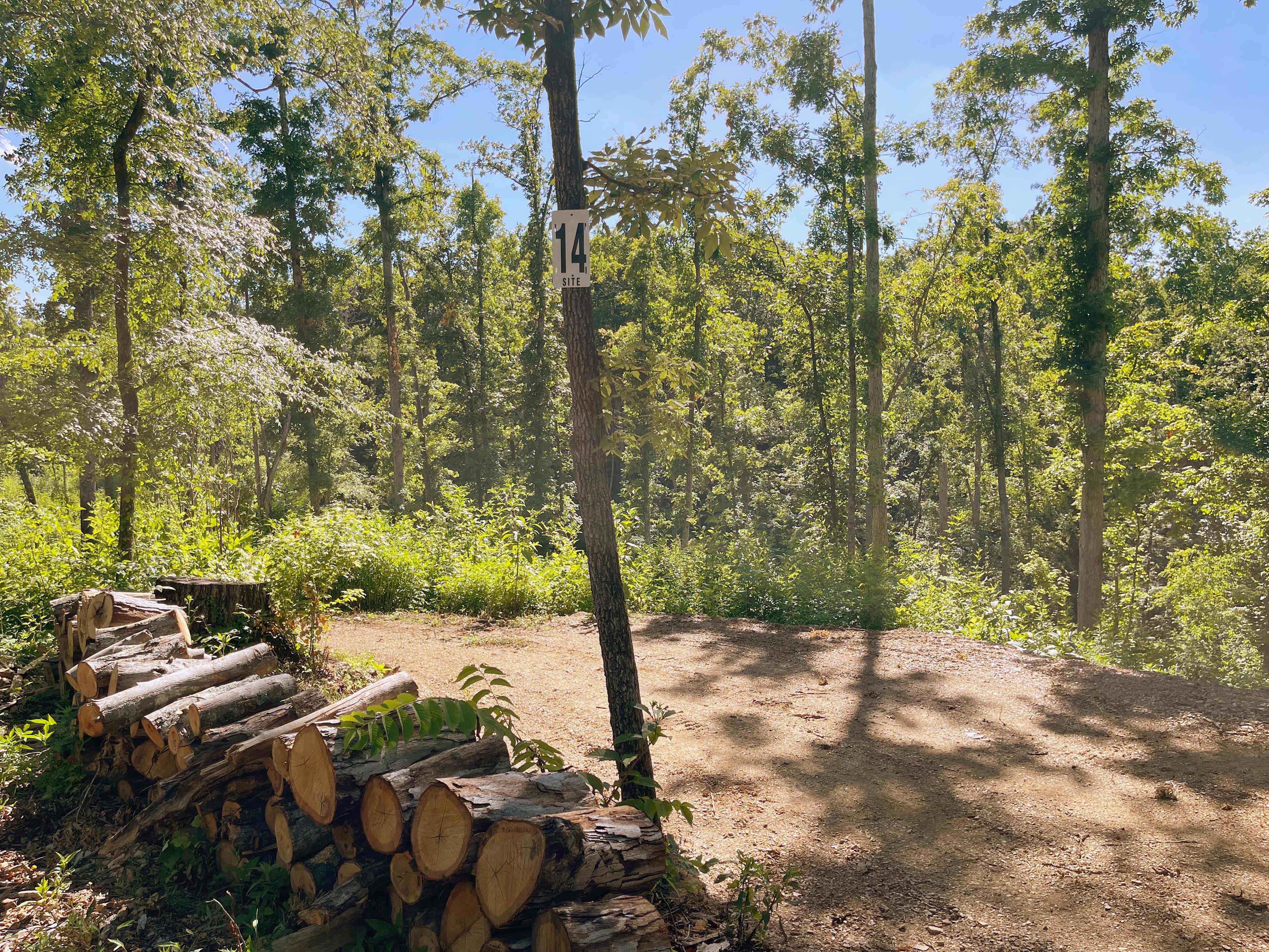 Picture of the site