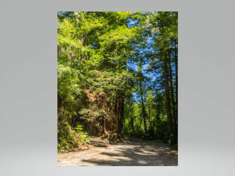 Ramblin' Redwoods Campground 