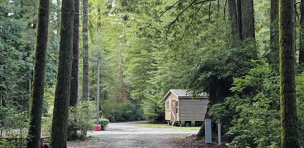 Ramblin' Redwoods Campground 