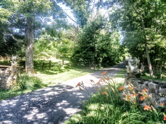 The Creekside at Goat Hill