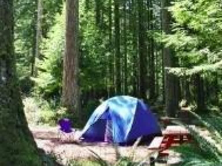 Ramblin' Redwoods Campground 