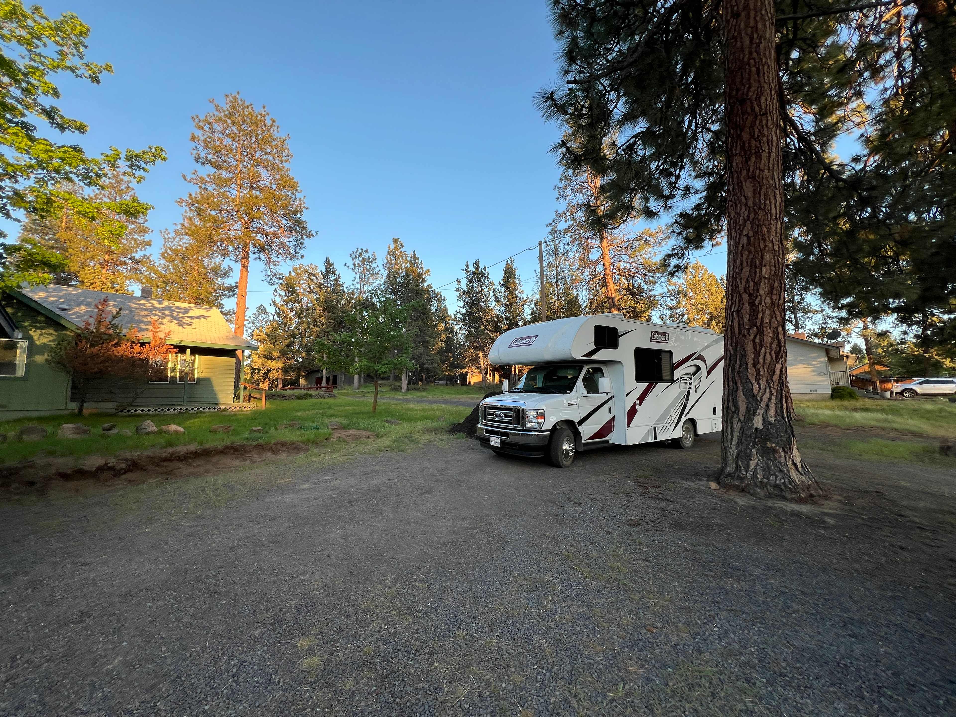 Sunny Ponderosa Camp