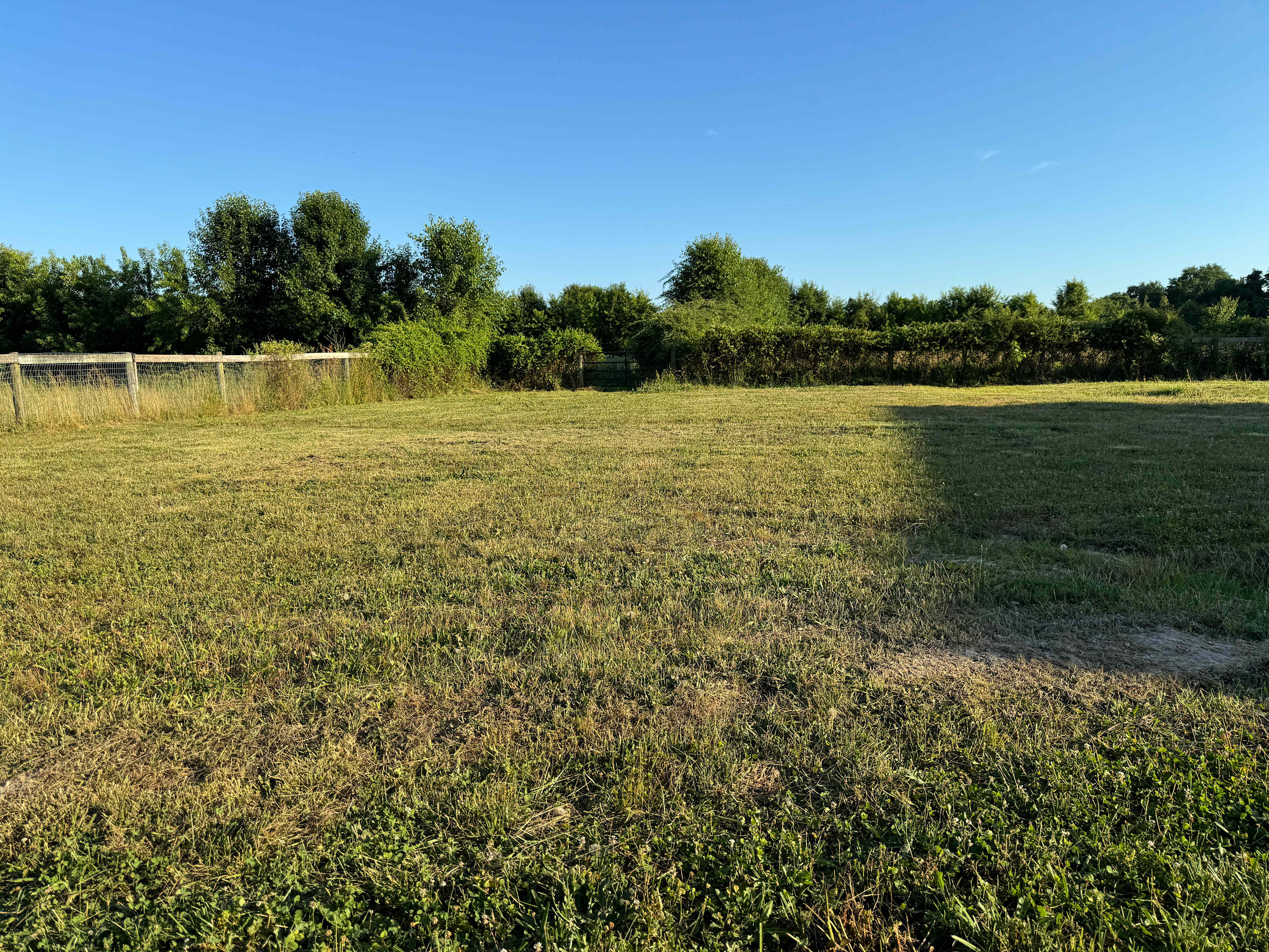 MuddyHill Farm