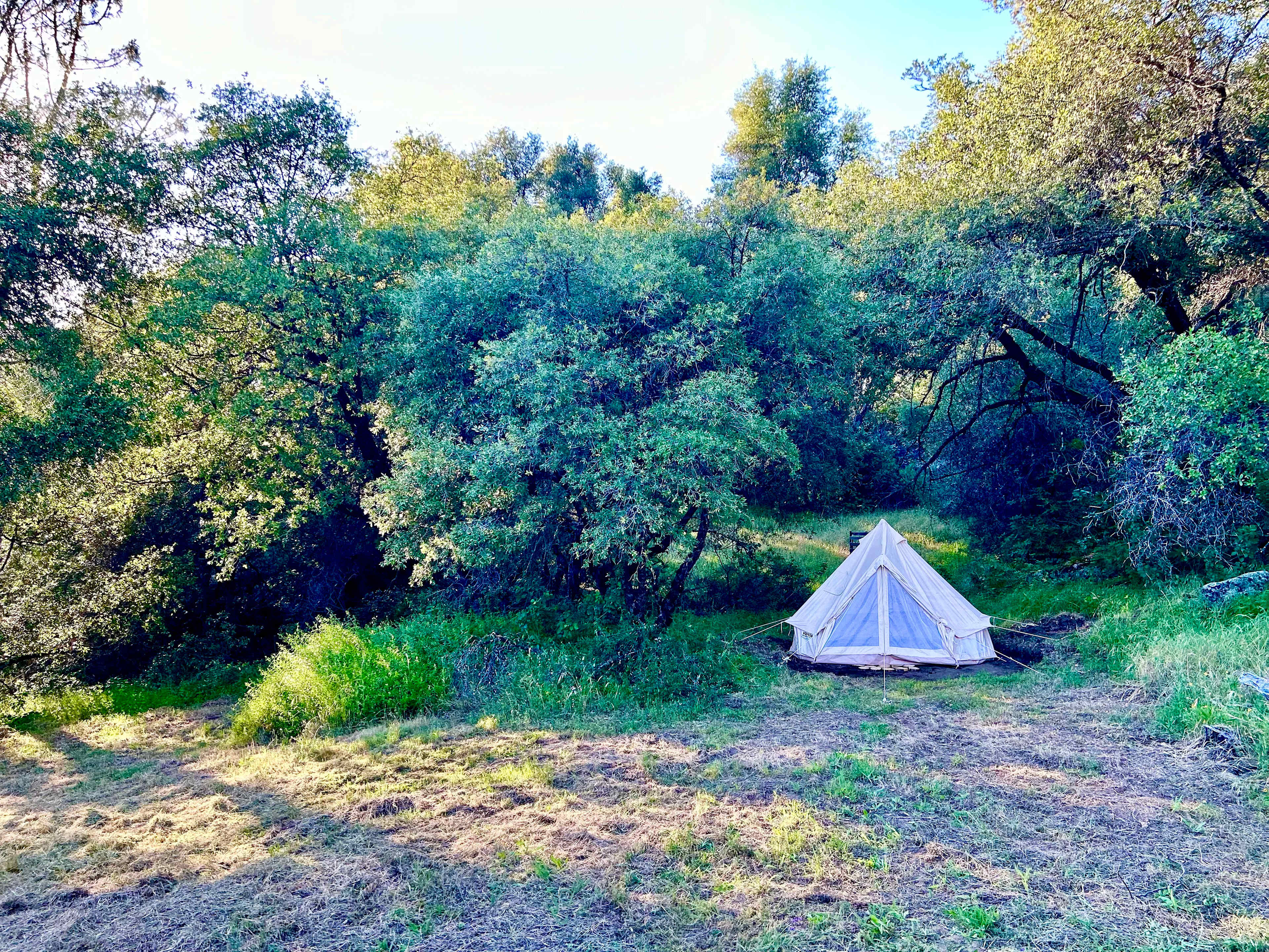 Camp 🏕 Gold Dust Vineyard