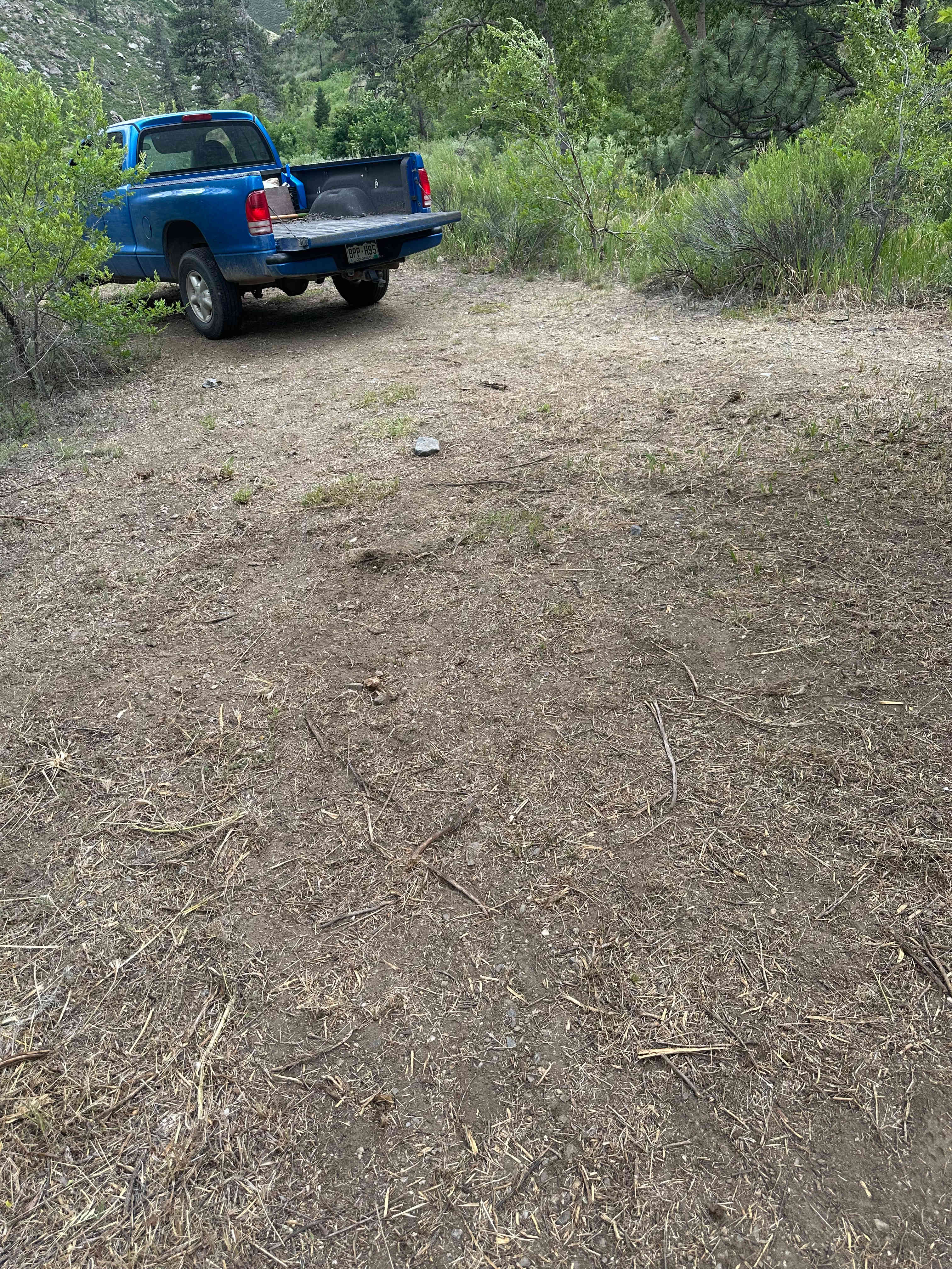 Picture of the site