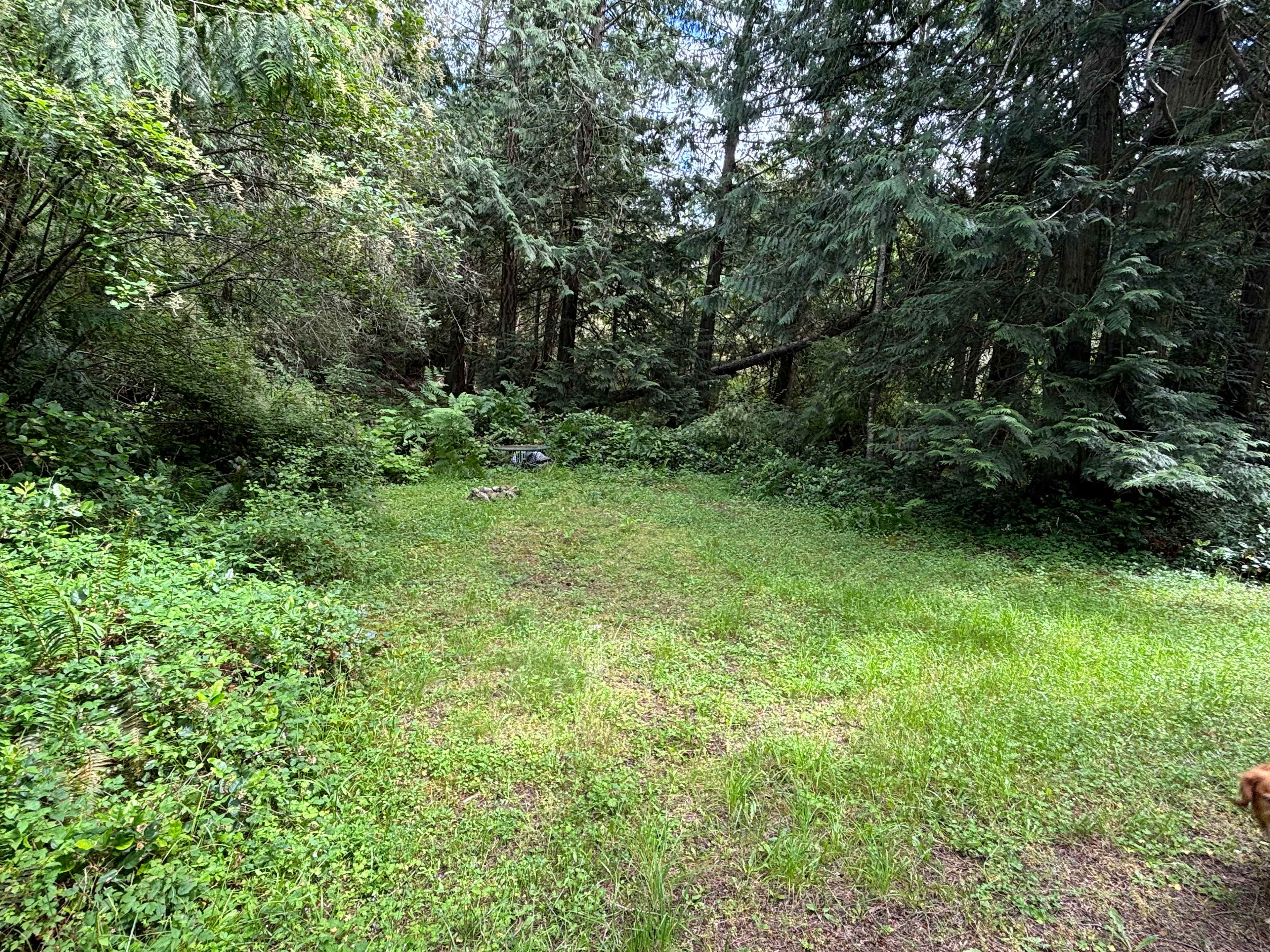 Secluded Orcas Camp