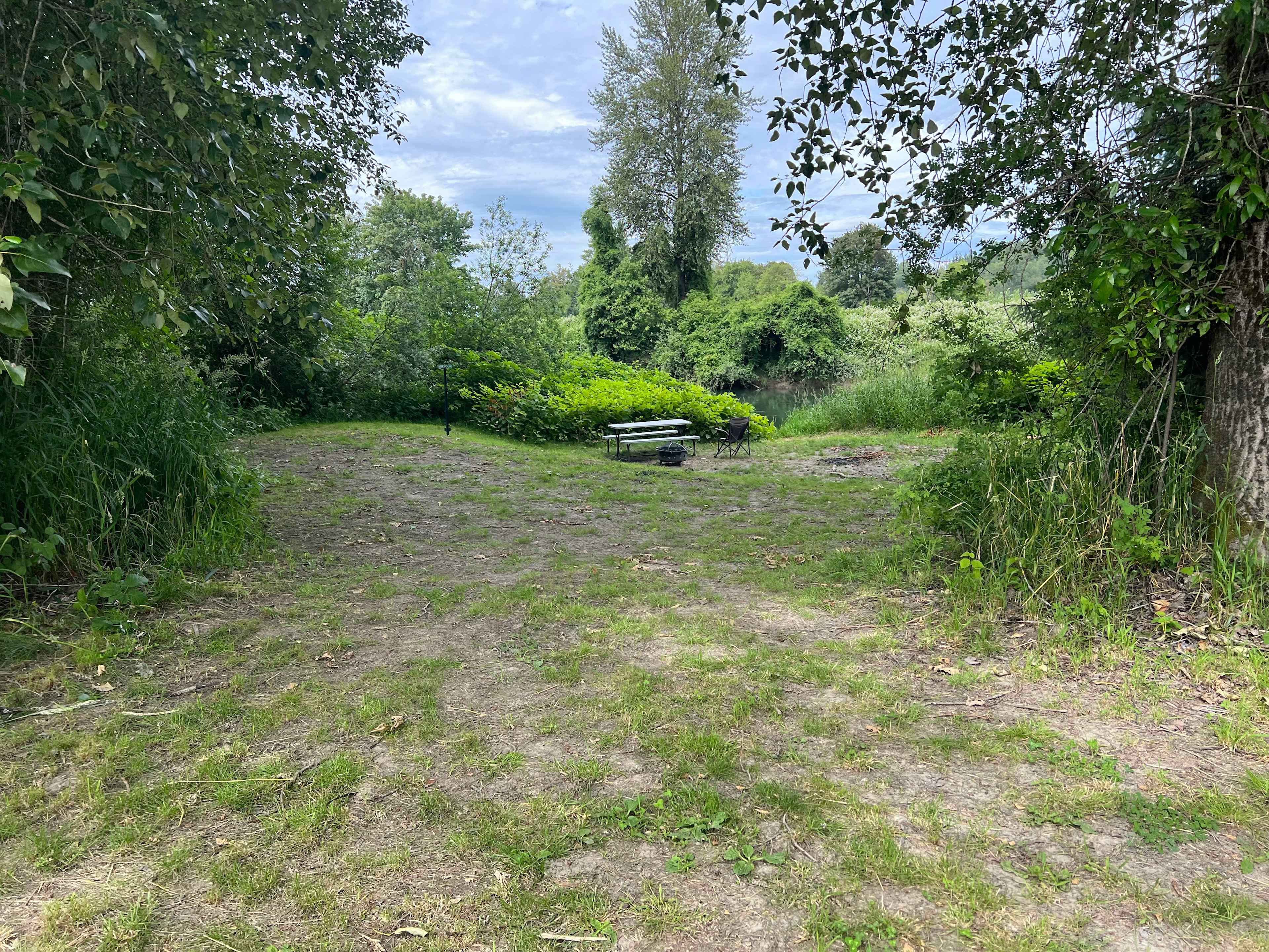 Broad view of Site 4. Another site (Site 3) is to the right of this photo. Friends and family should book these sites together. 