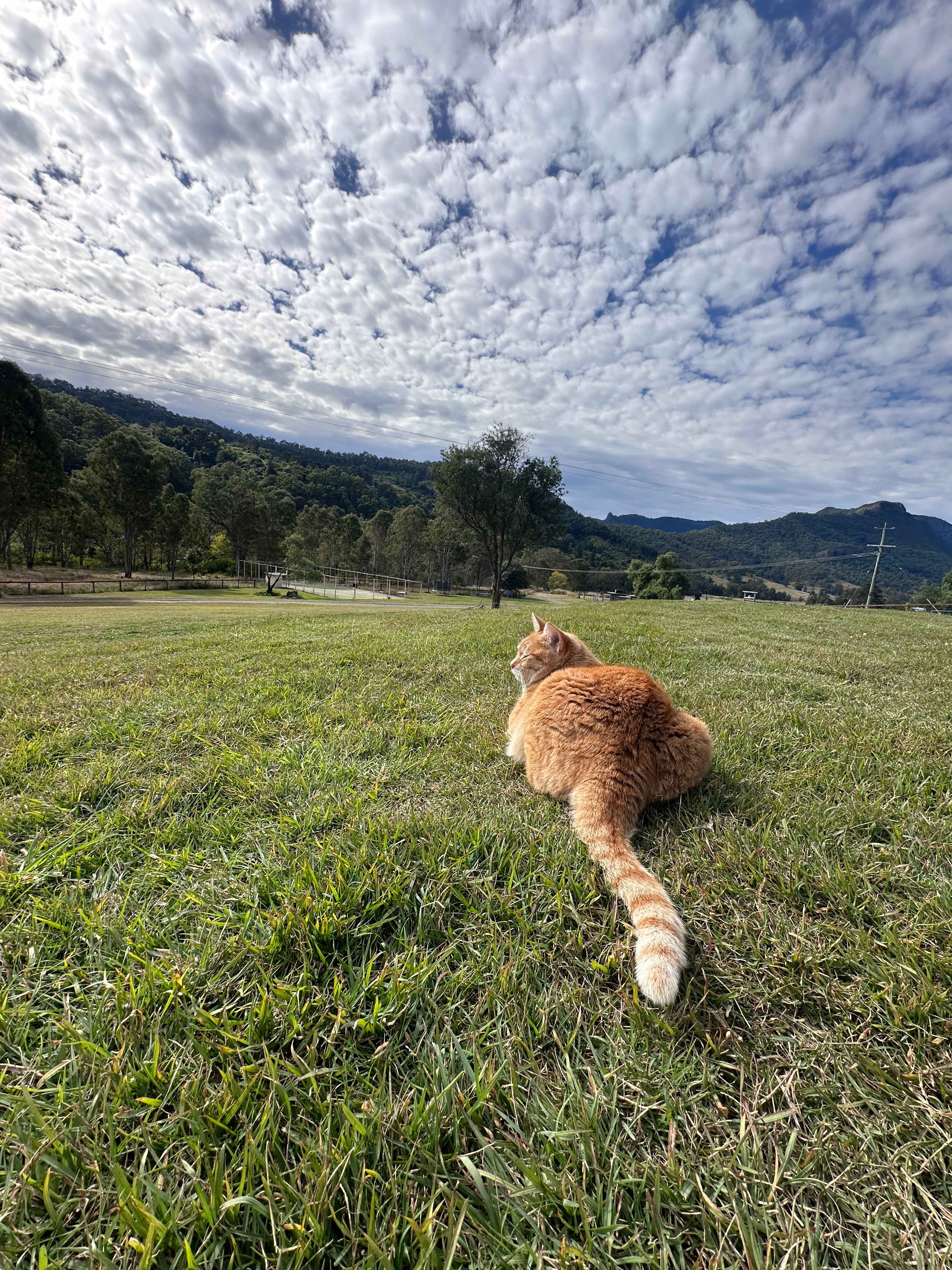Cedar Glen Farmstay