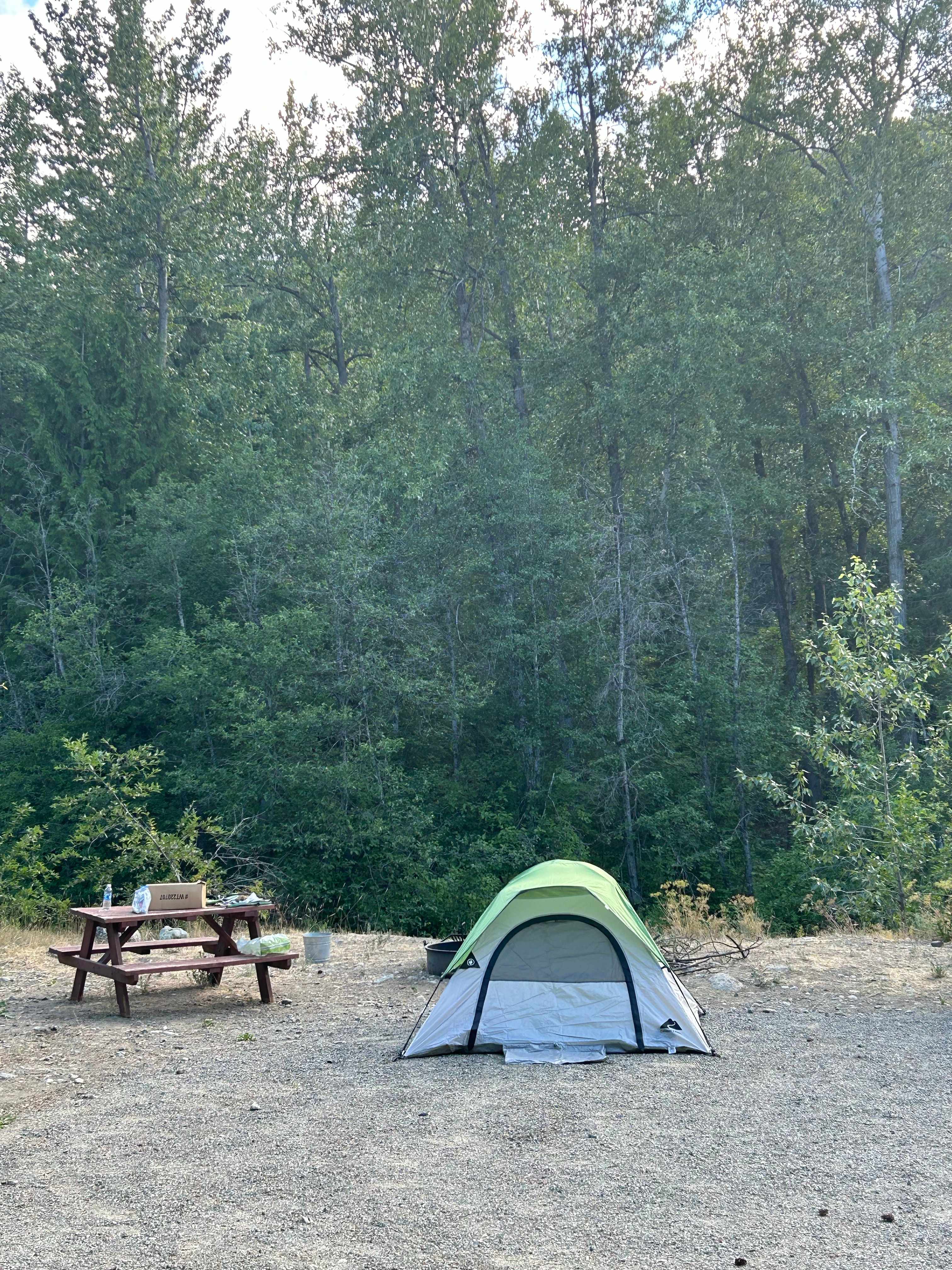 Picture of the site
