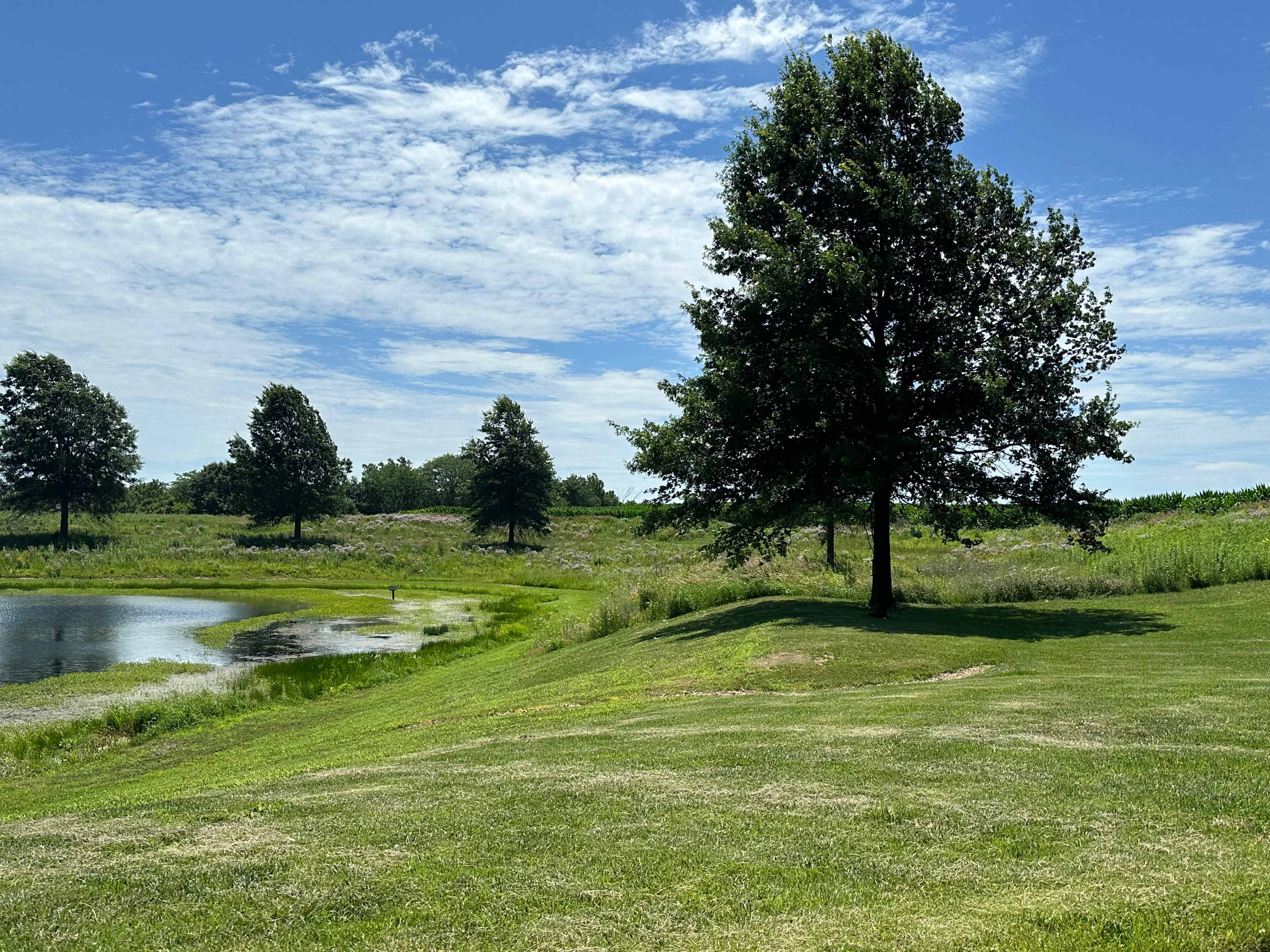 Picture of the site