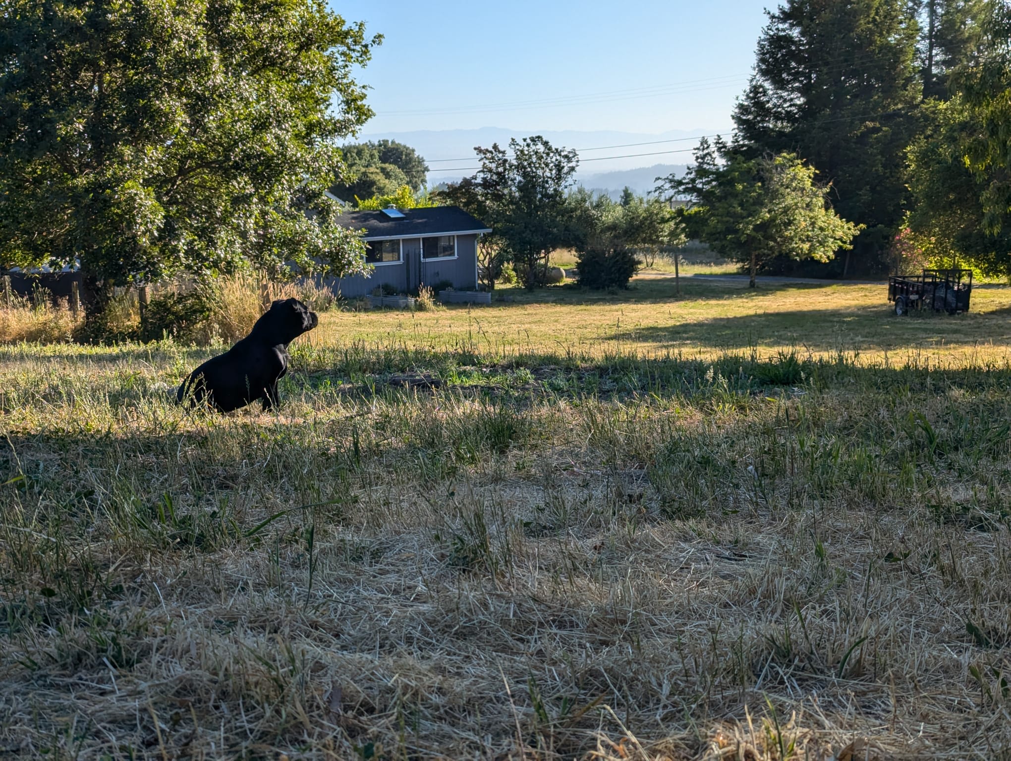 Love Family Farm