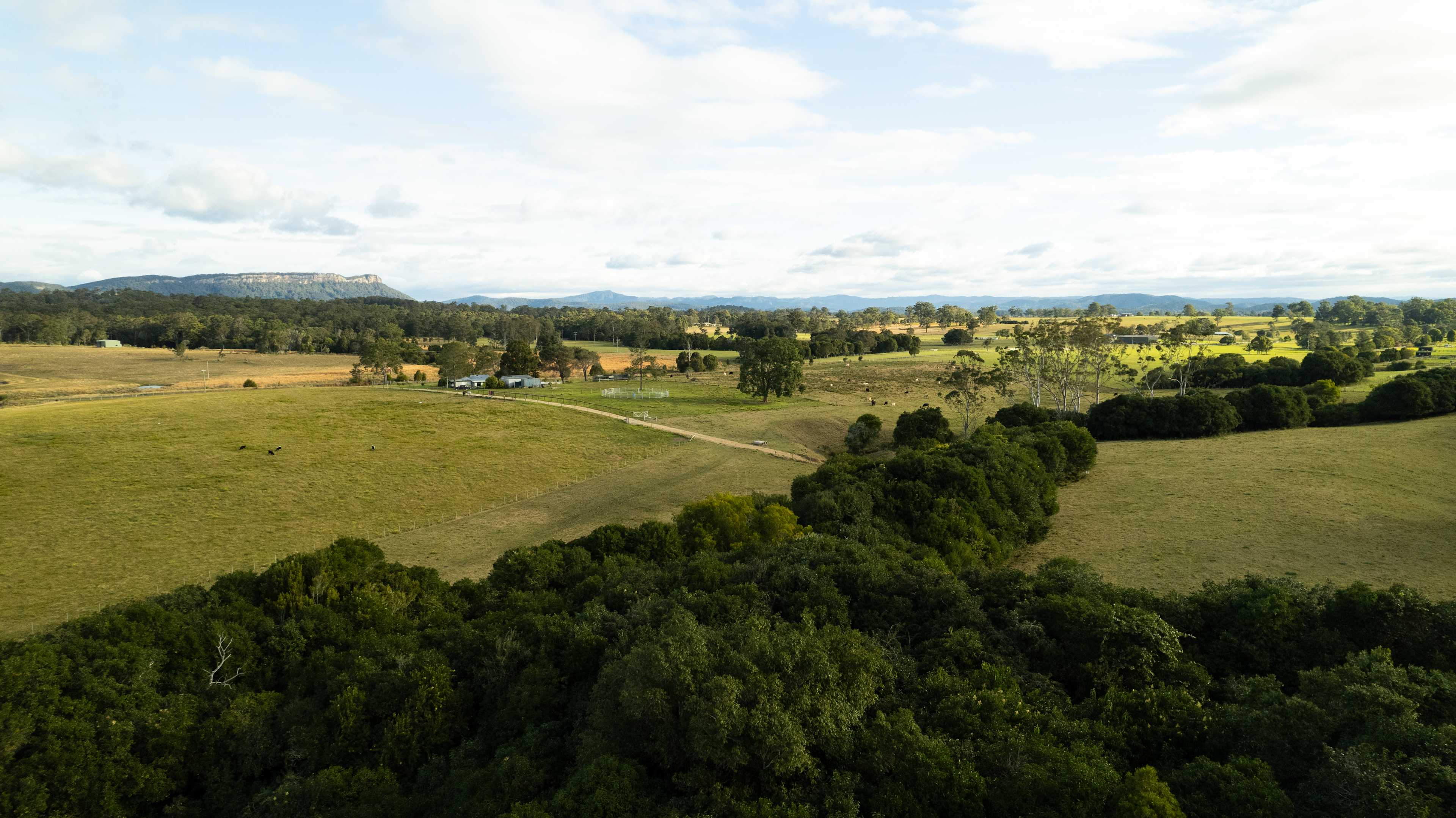 Cameron Falls Farm