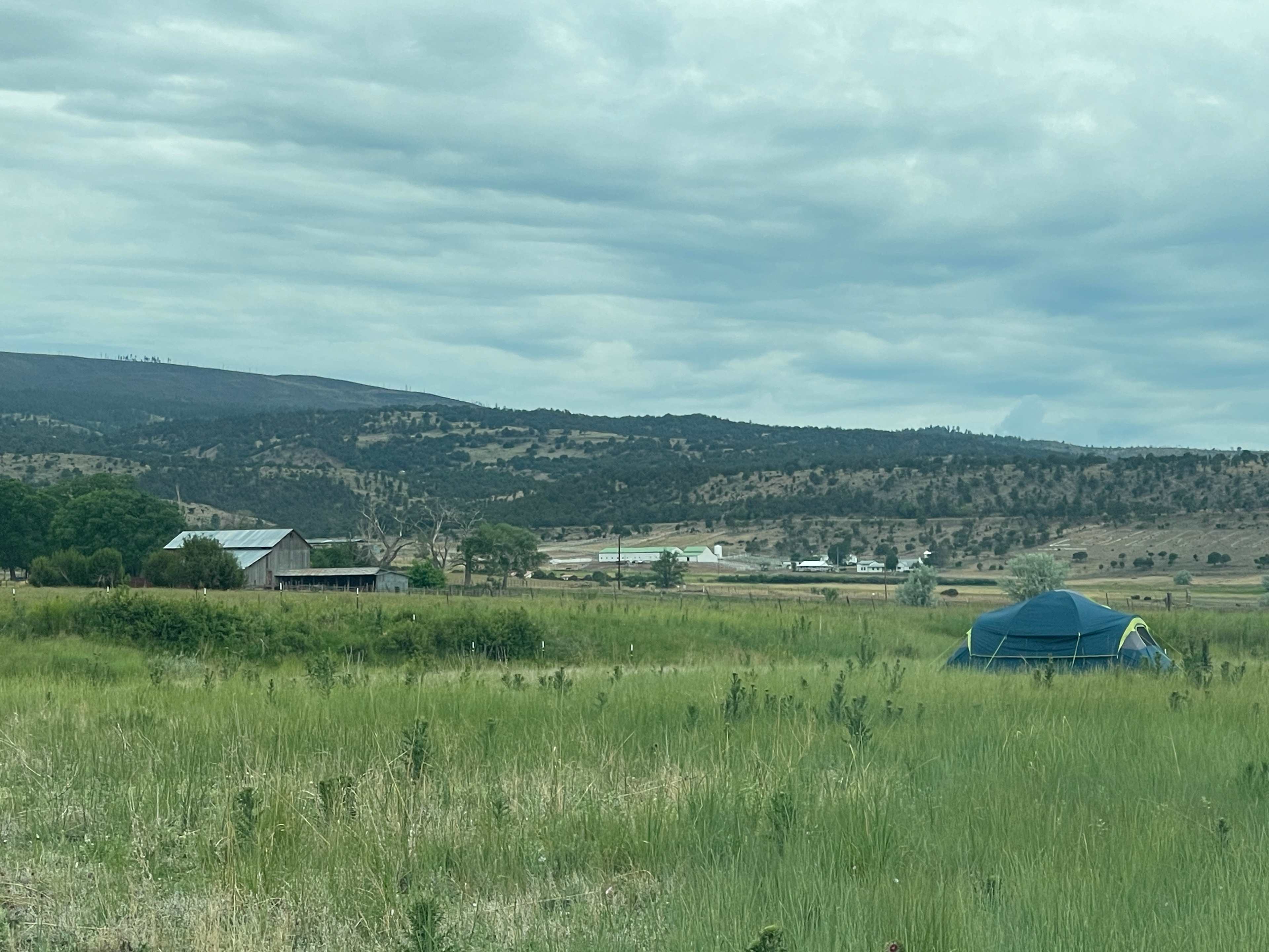 Creekside Farm