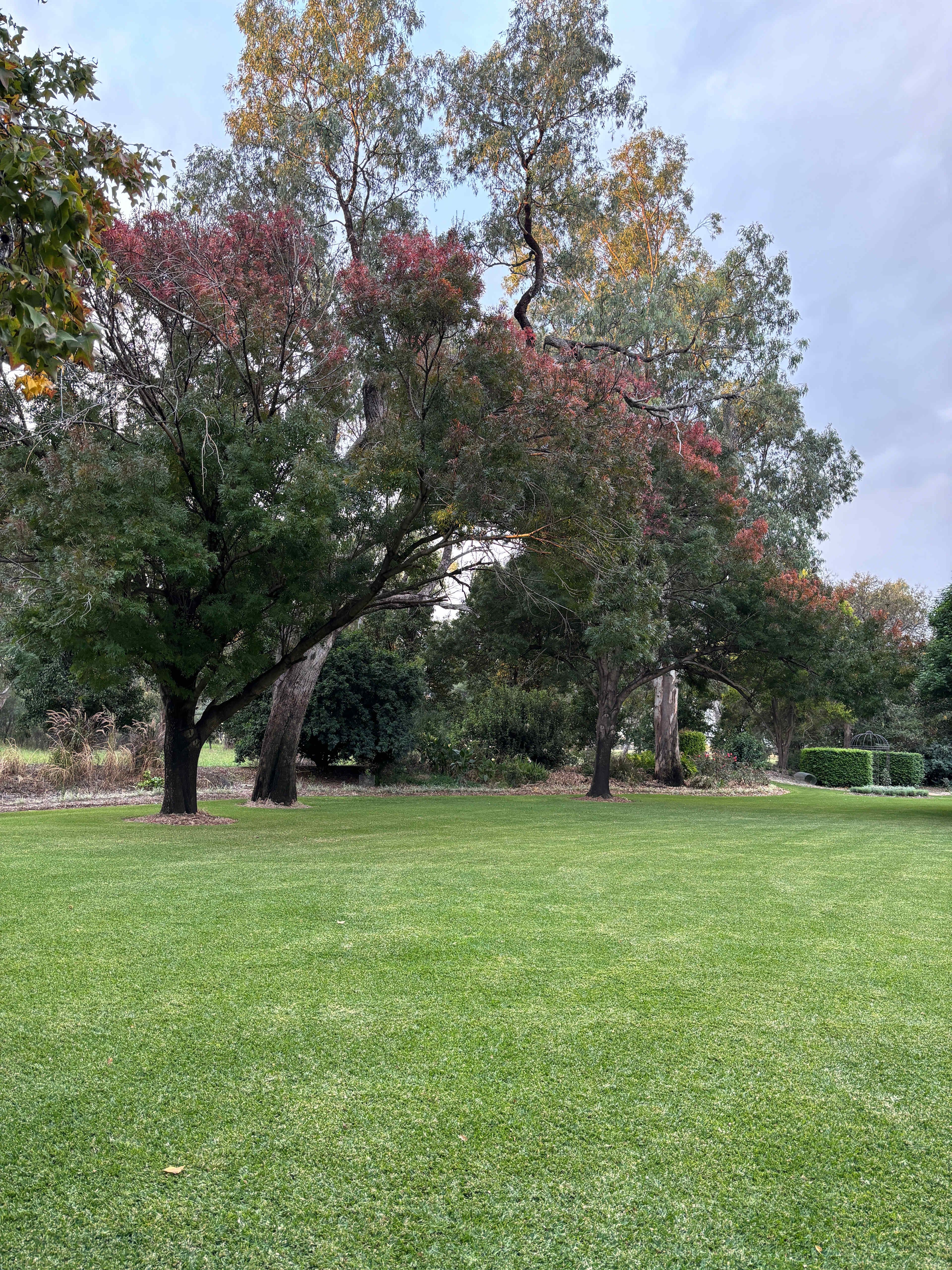 Tarrawingee Farm - Curated Gardens