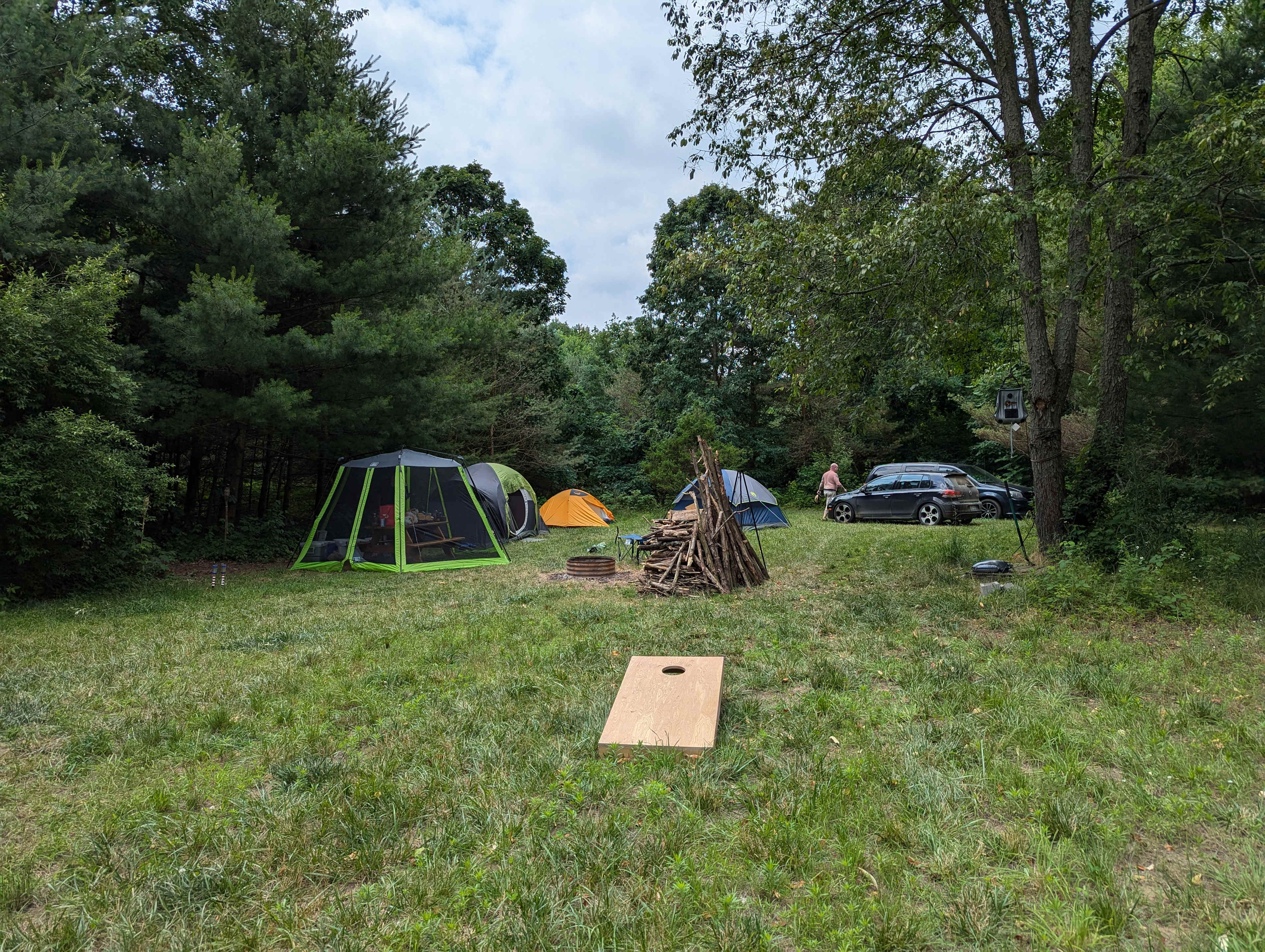 Picture of the site