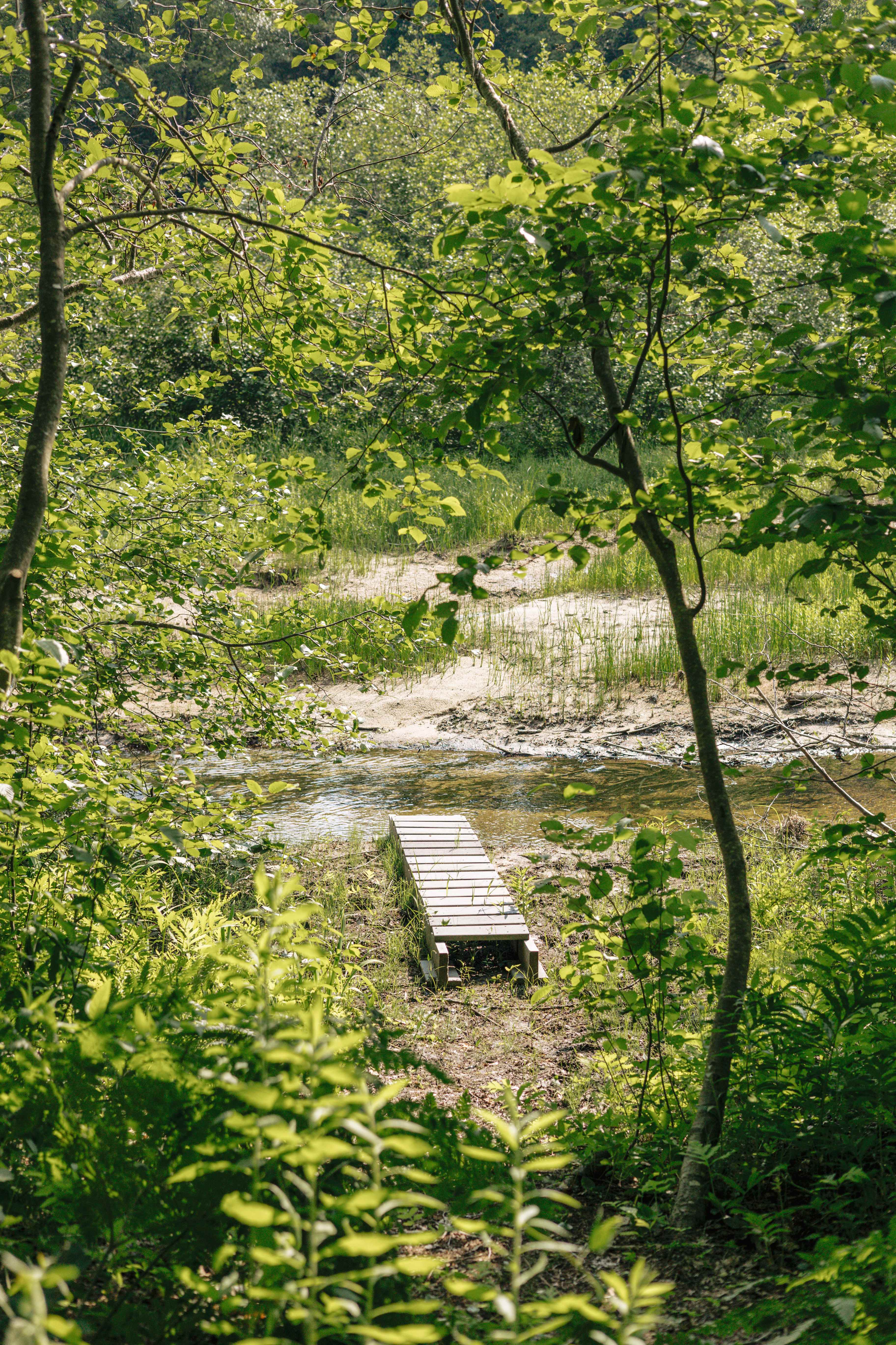 At the bottom of the hill is a creek and another fire pit area.