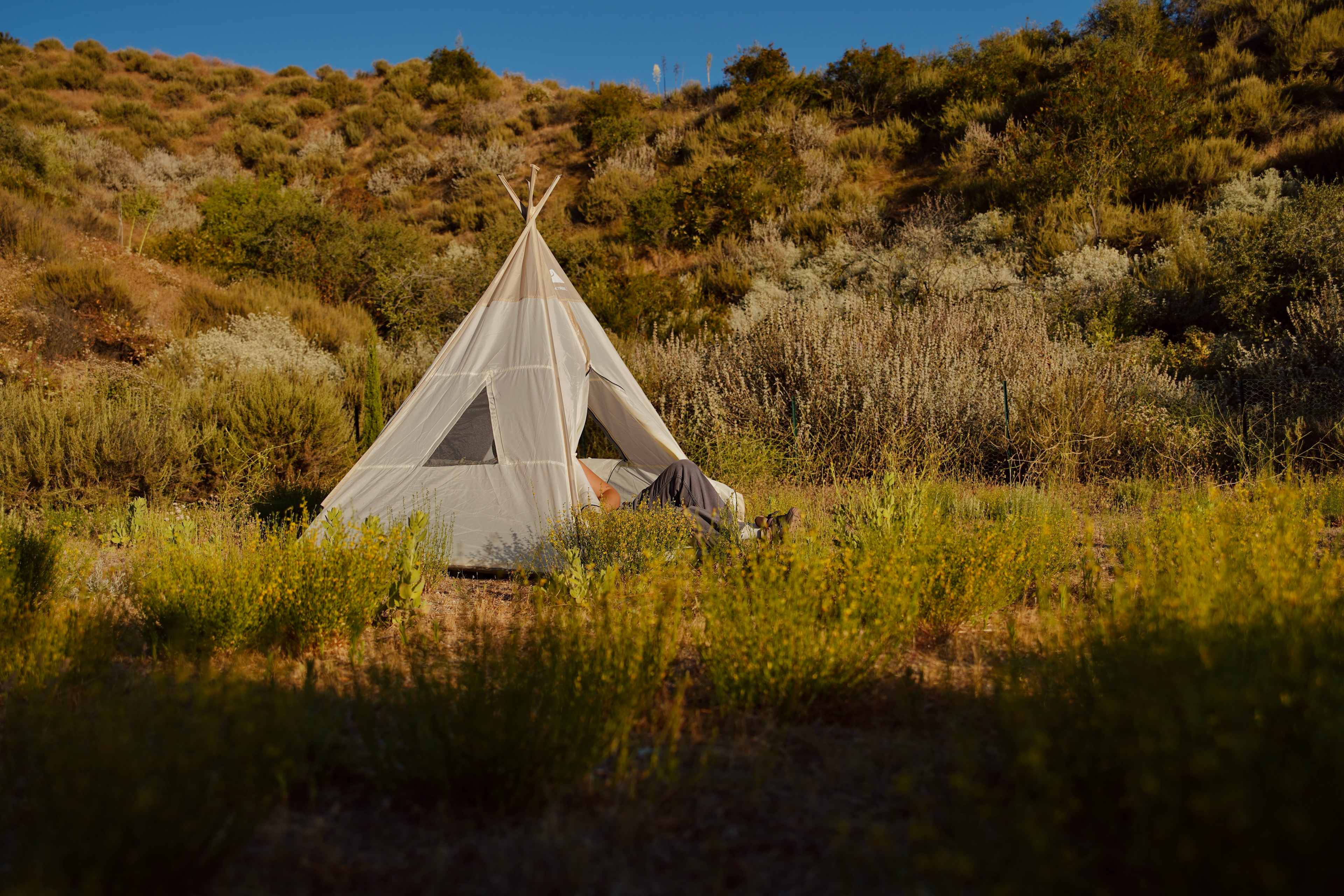 HIPTRIP Basecamp + Wildlife Habitat
