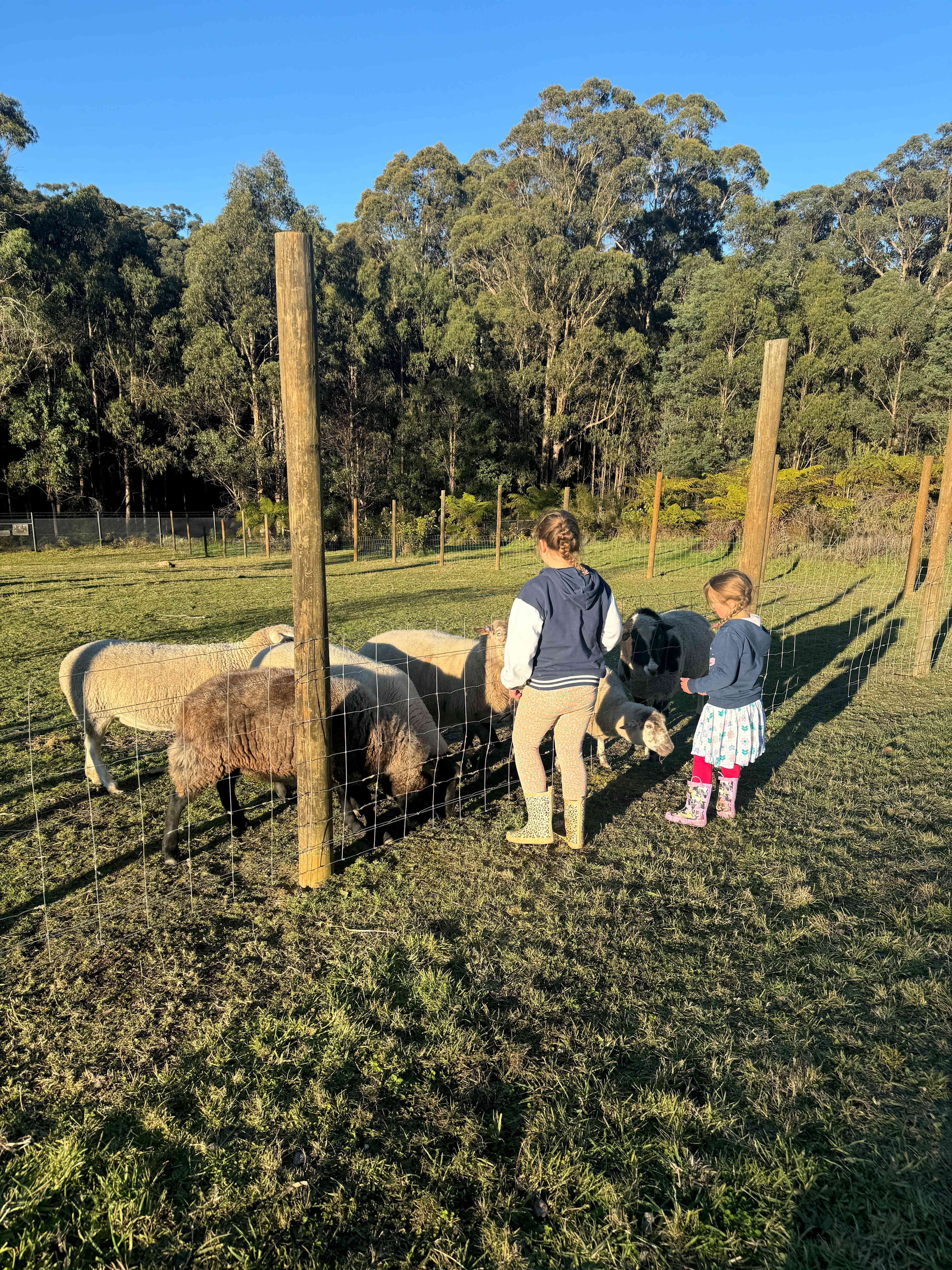 Fowkes Family Flower Farm
