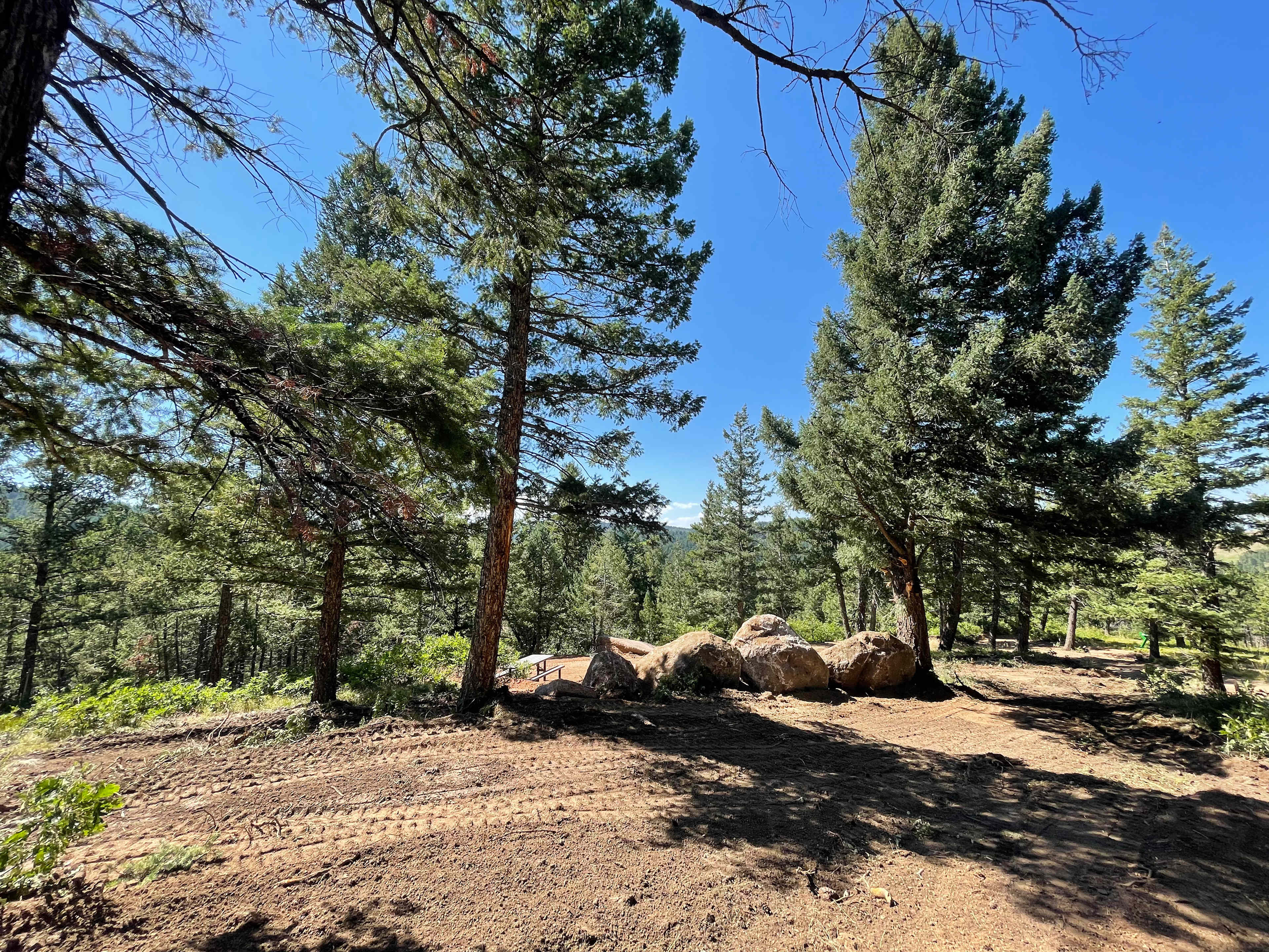 Picture of the site