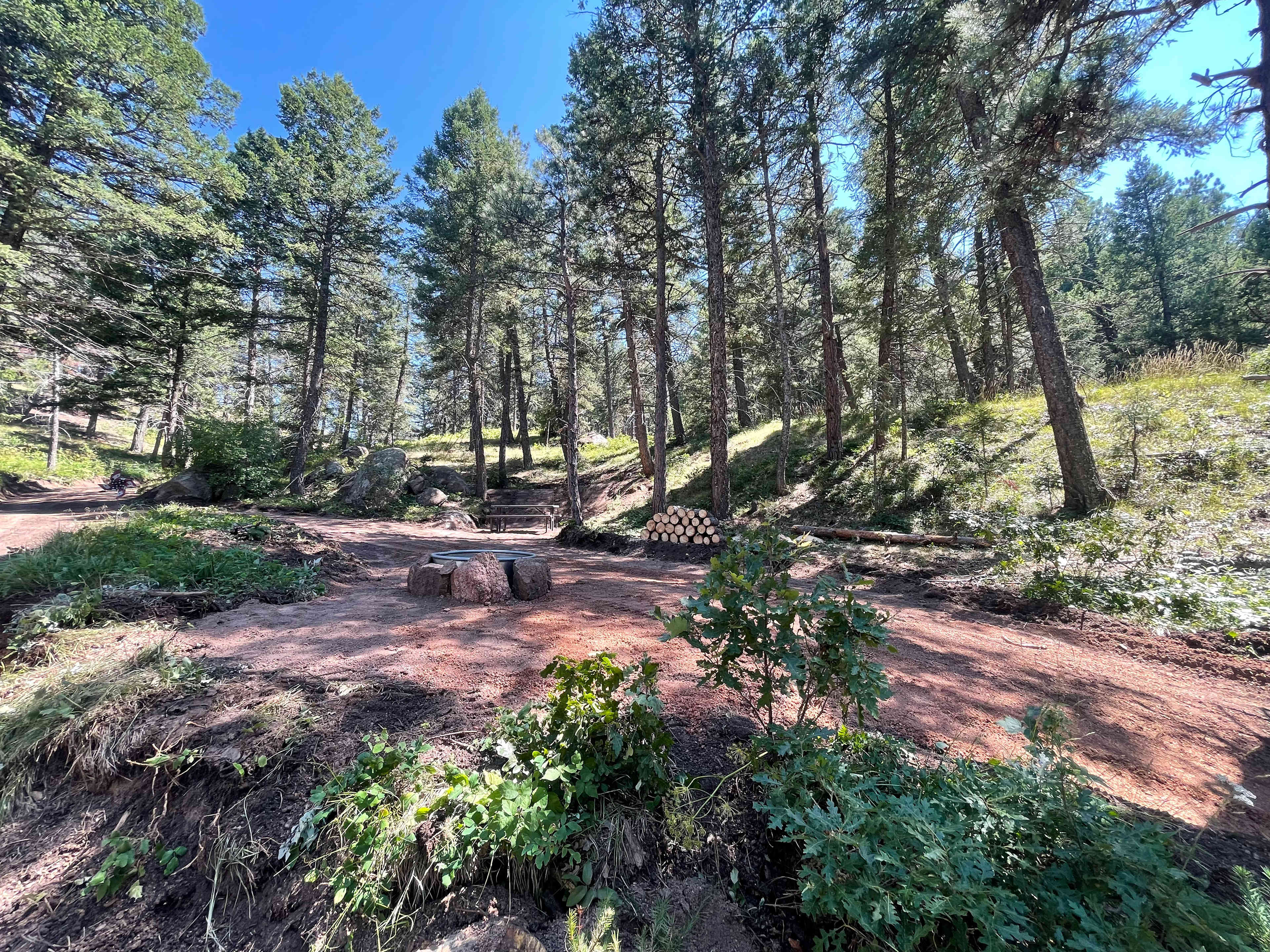 Picture of the site