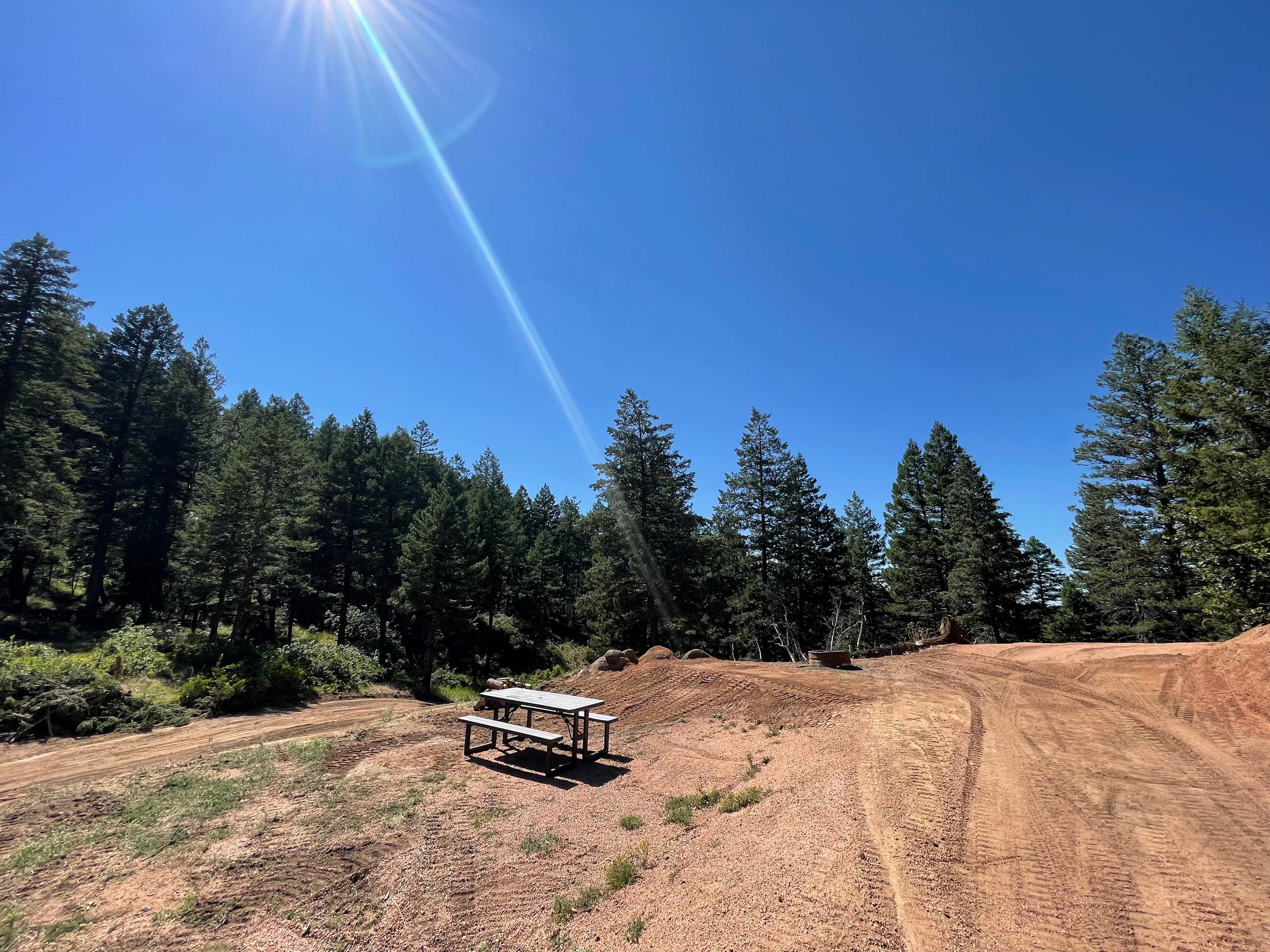 Picture of the site