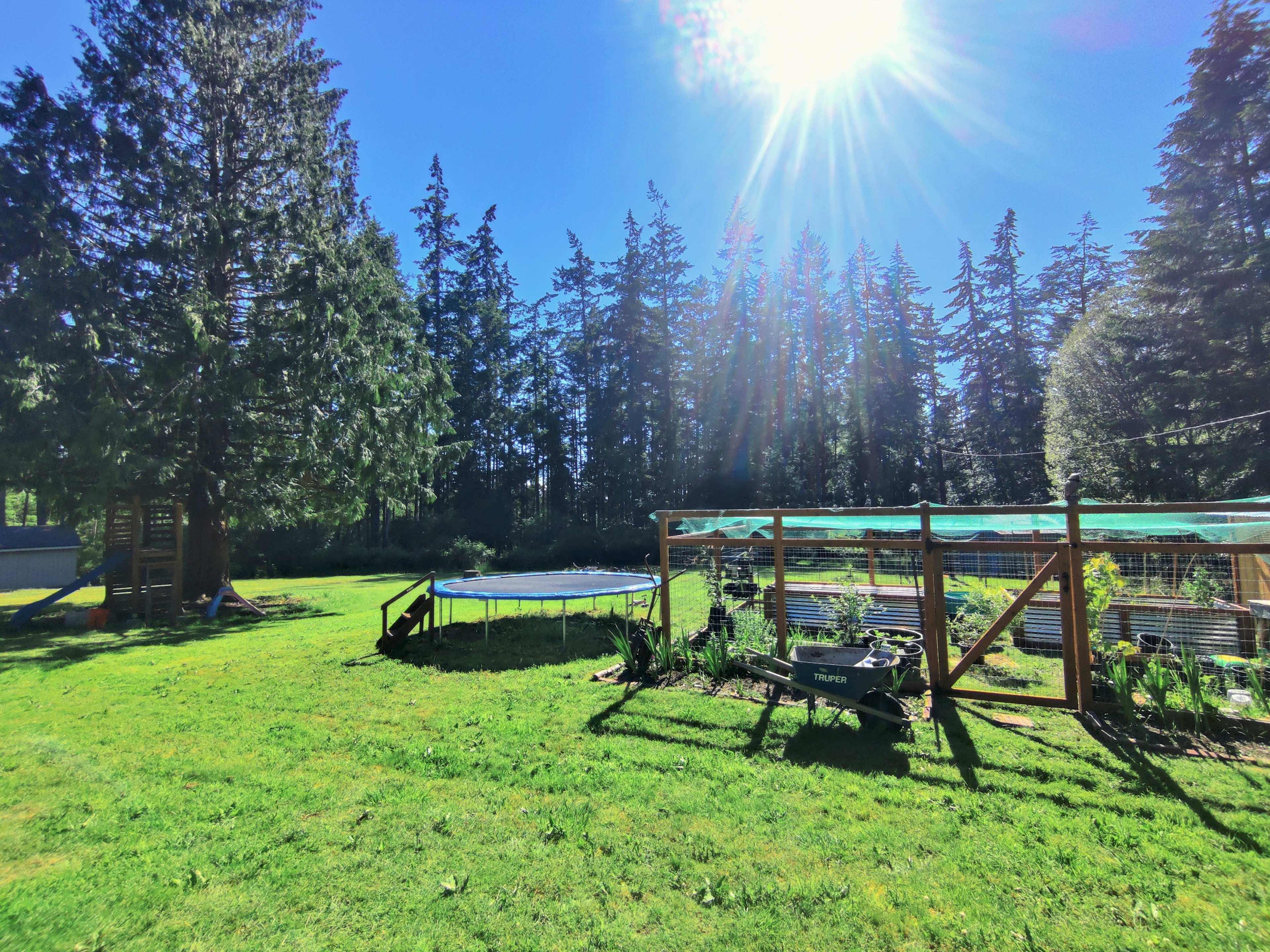 Your free to use the playground, trampoline, and watch my sunflowers grow in the garden. 