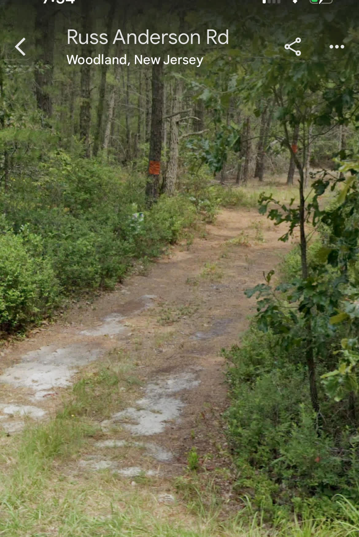 Old Pine Barrens Blueberry farm