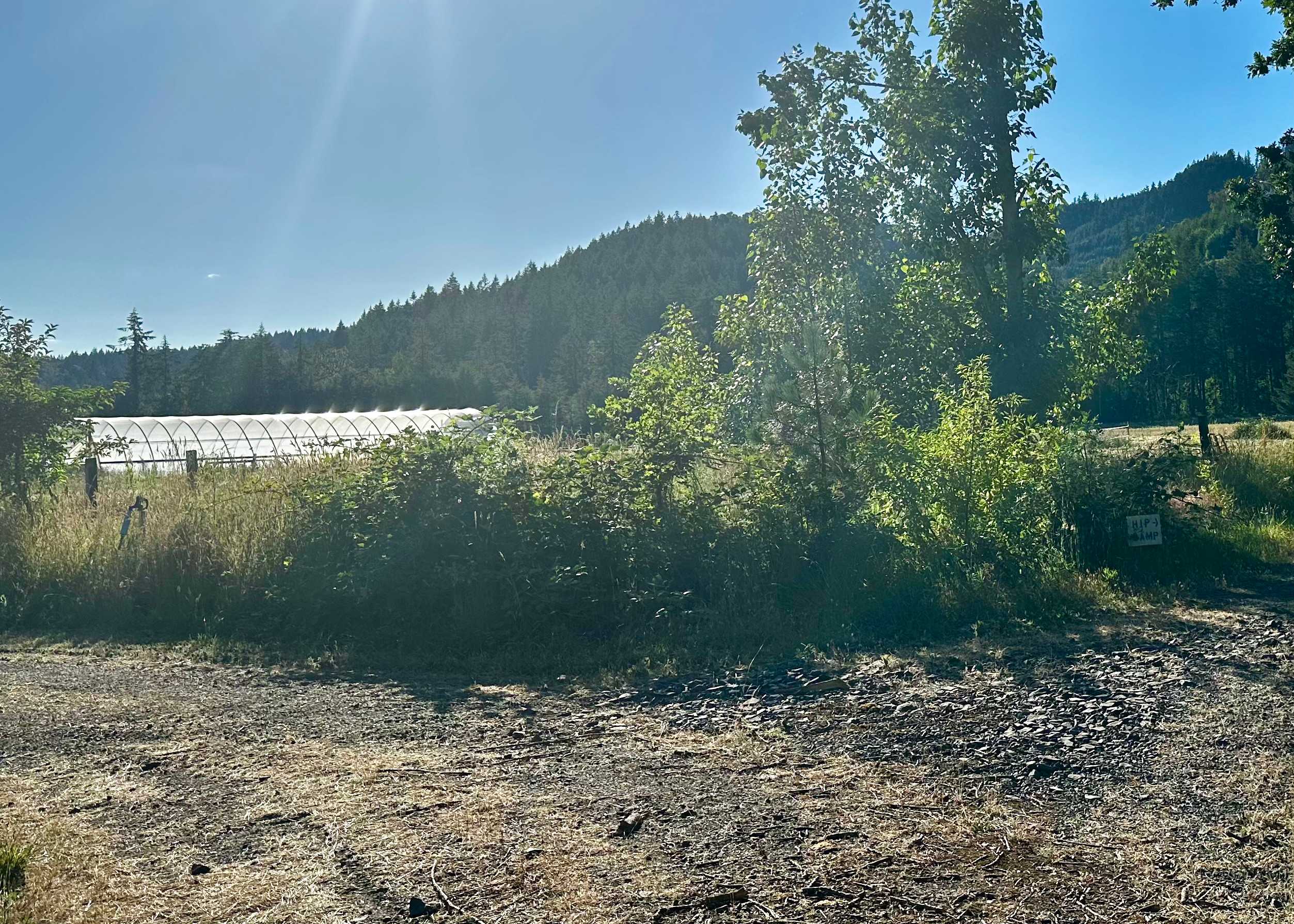Picture of the site