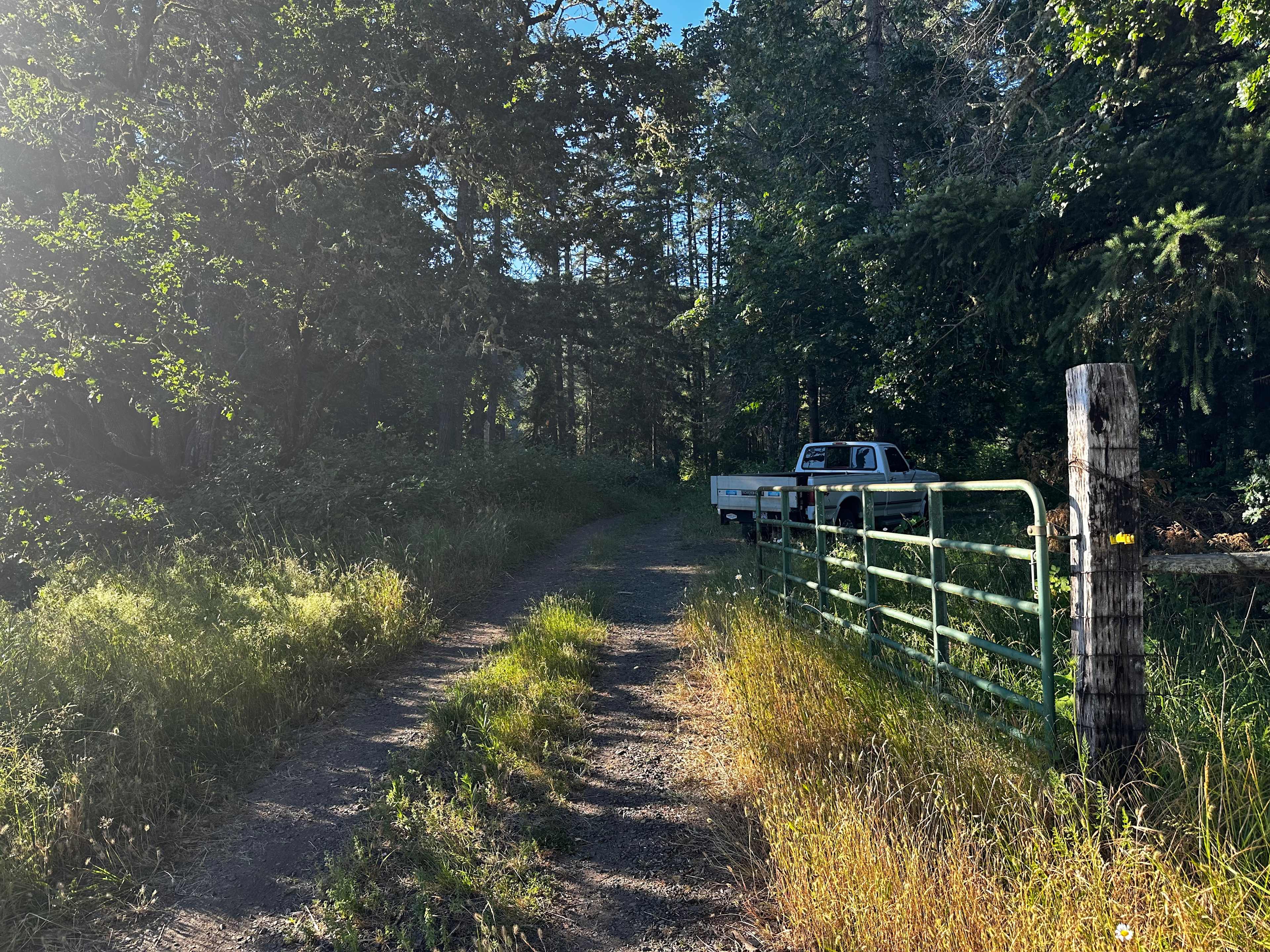 Picture of the site