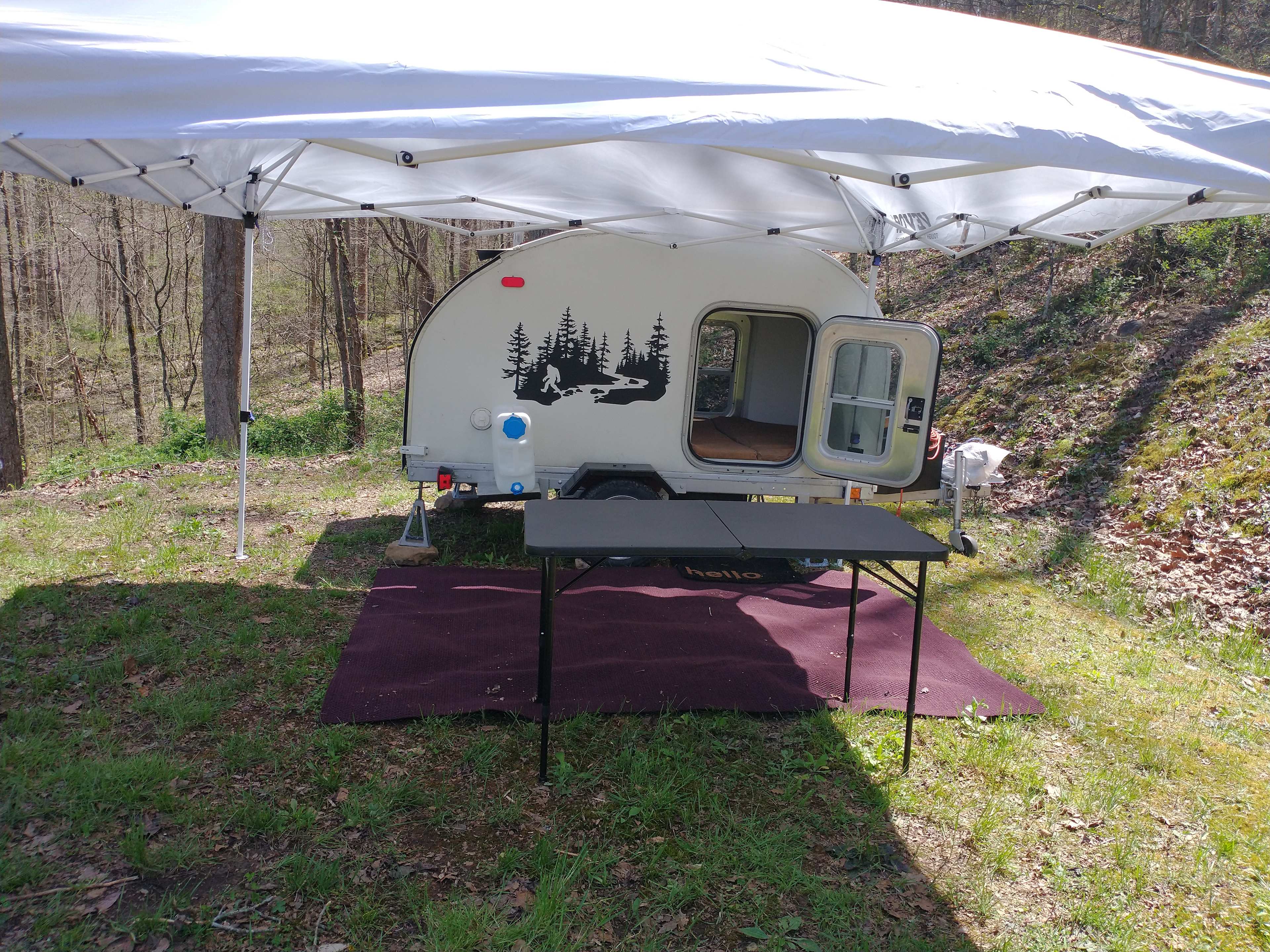 Picture of the site