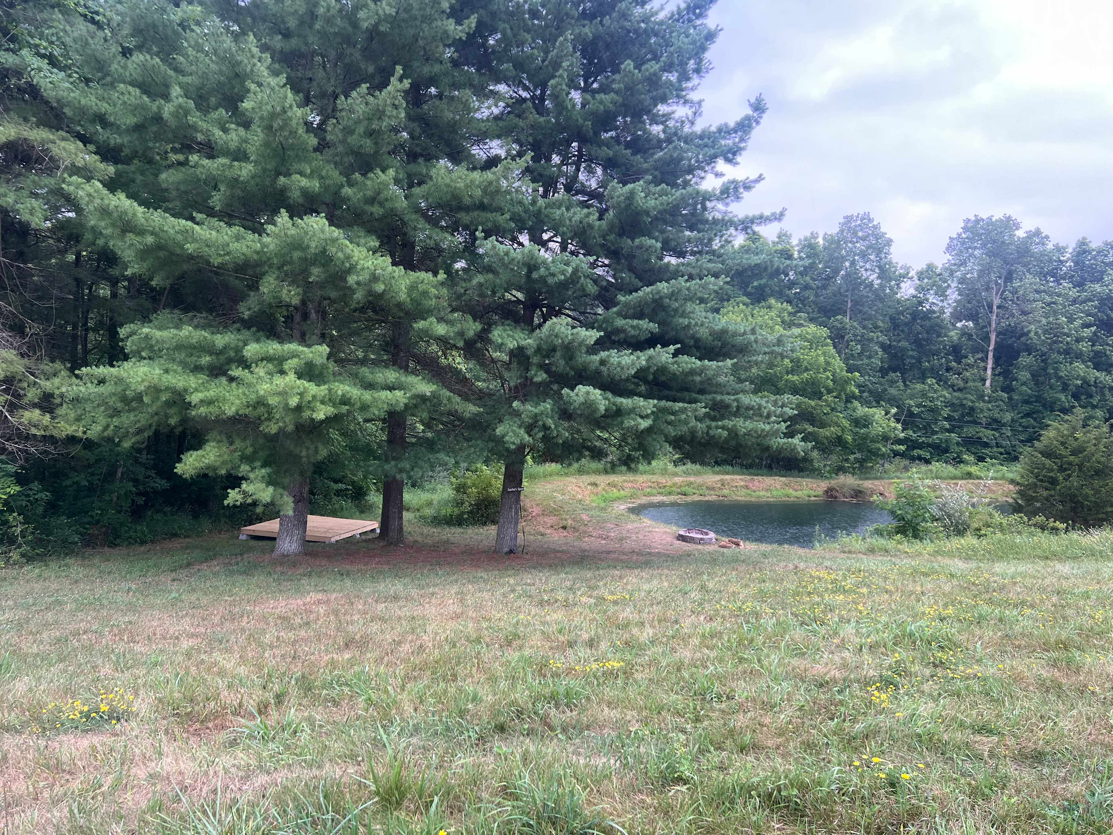 Picture of the site